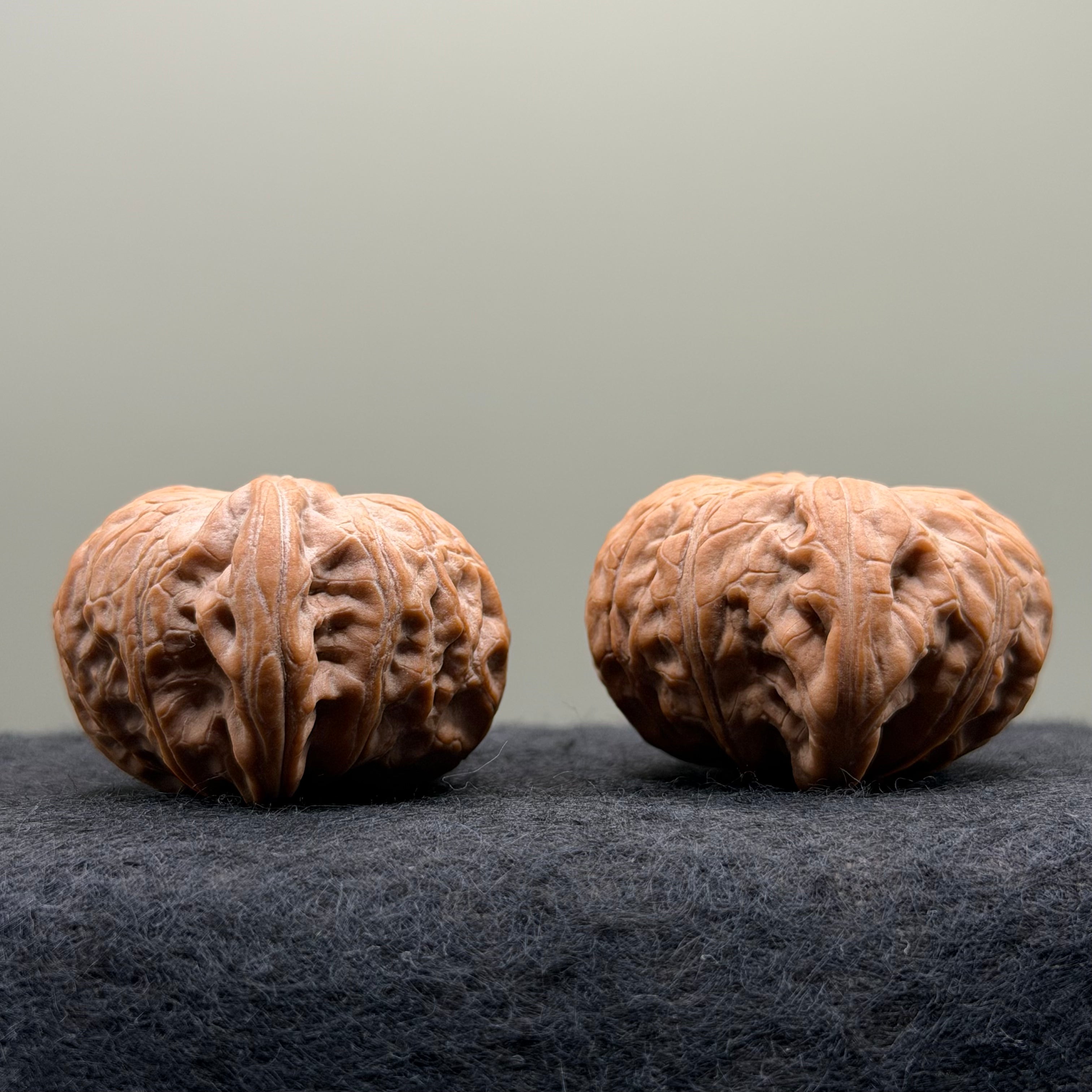 War Drum Lion Head Wenwan Walnut