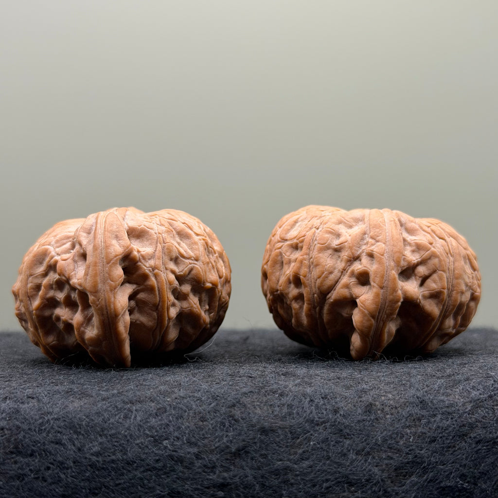War Drum Lion Head Wenwan Walnut