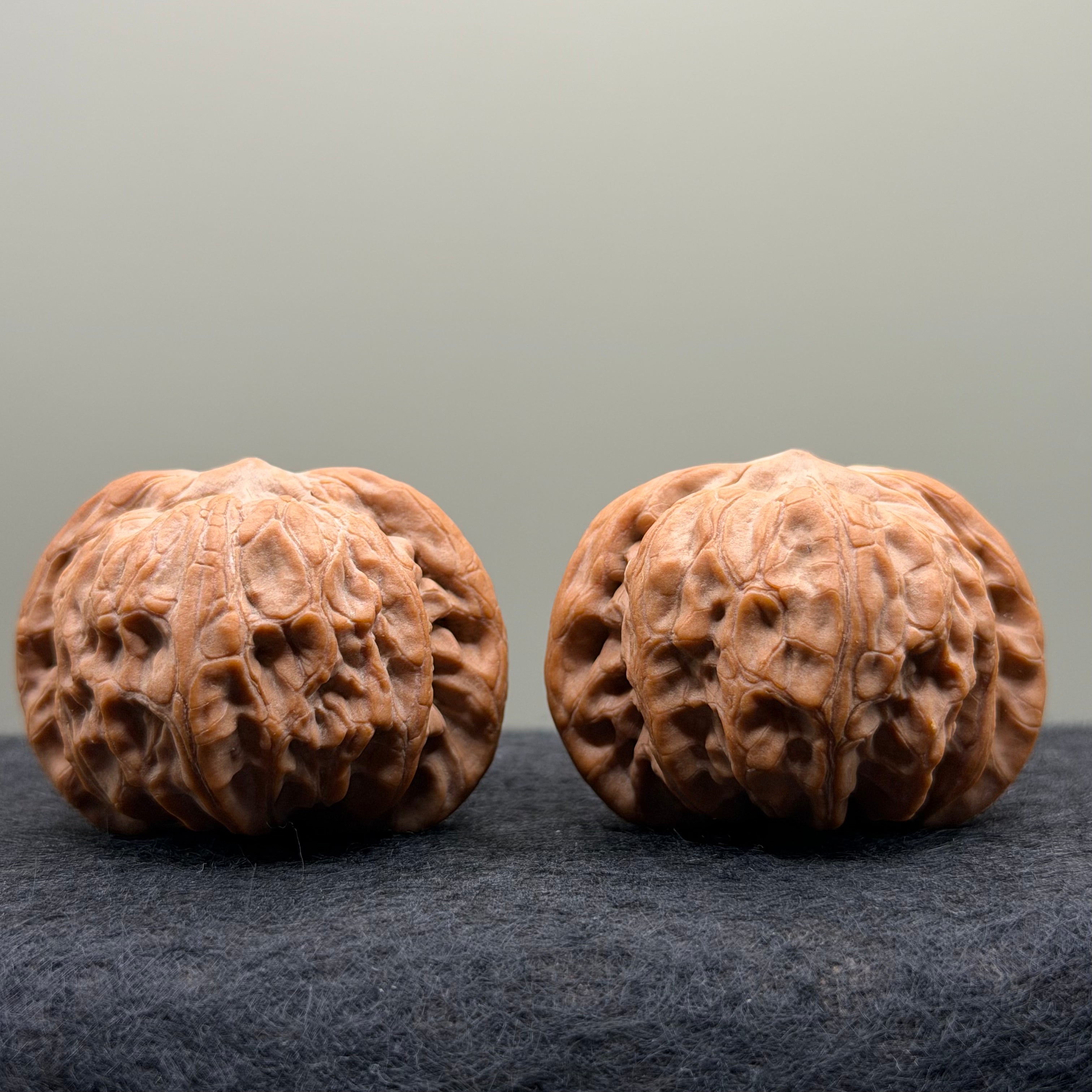 War Drum Lion Head Wenwan Walnut