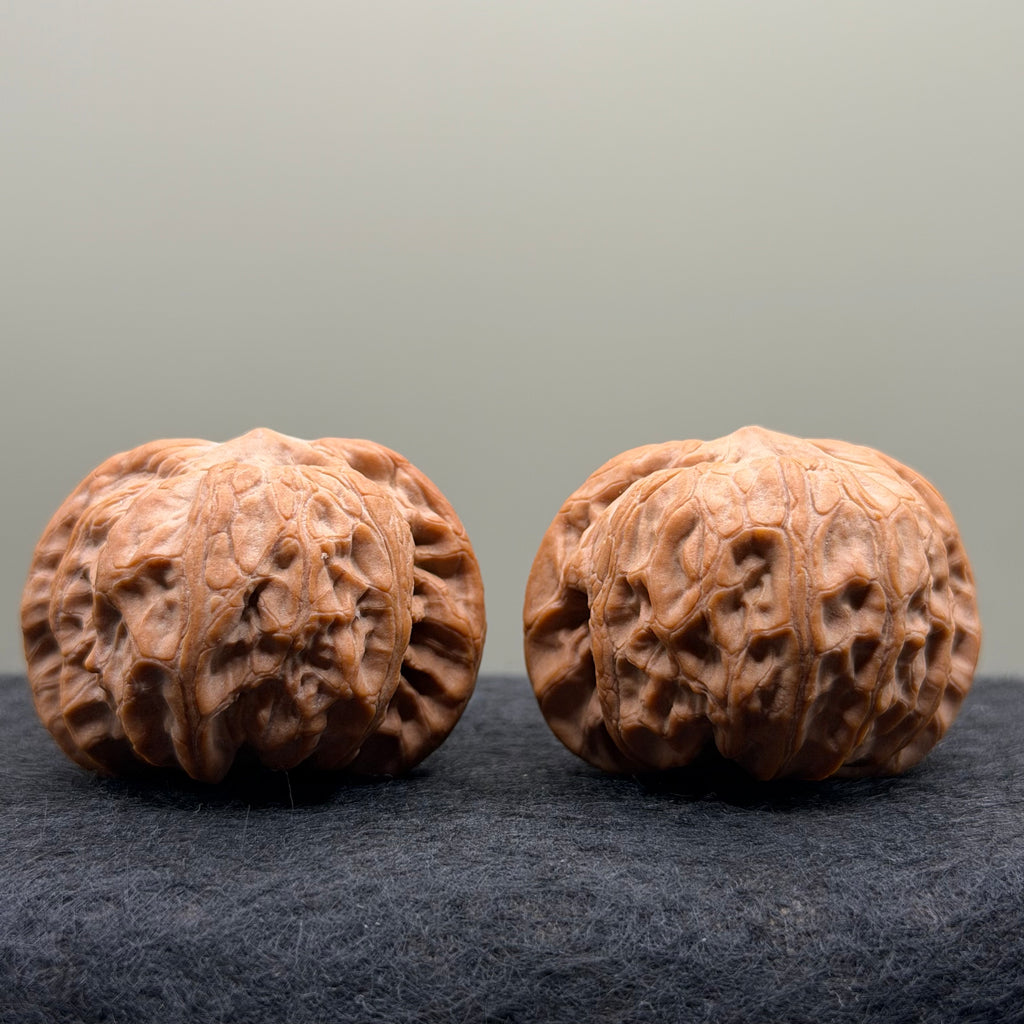 War Drum Lion Head Wenwan Walnut