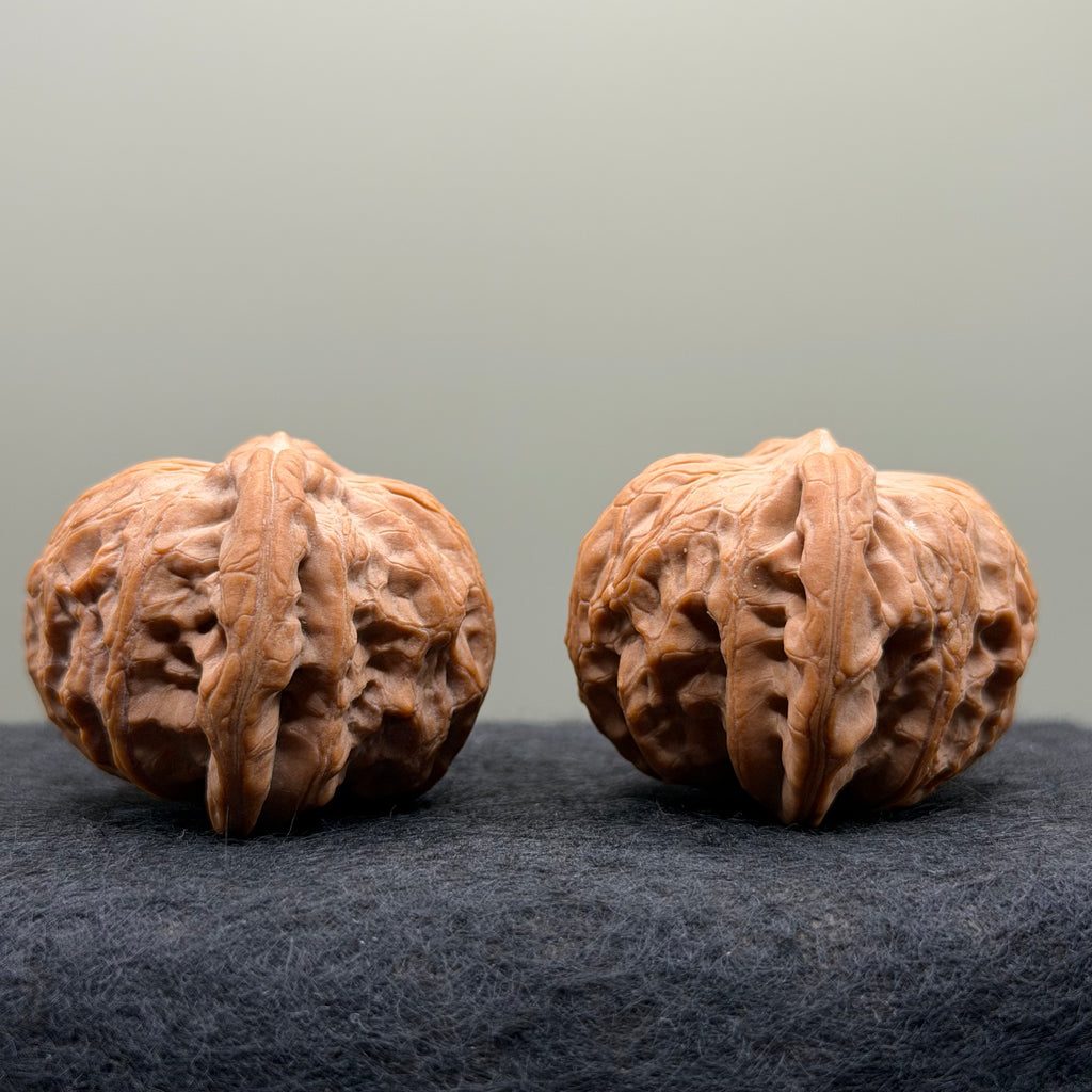War Drum Lion Head Wenwan Walnut