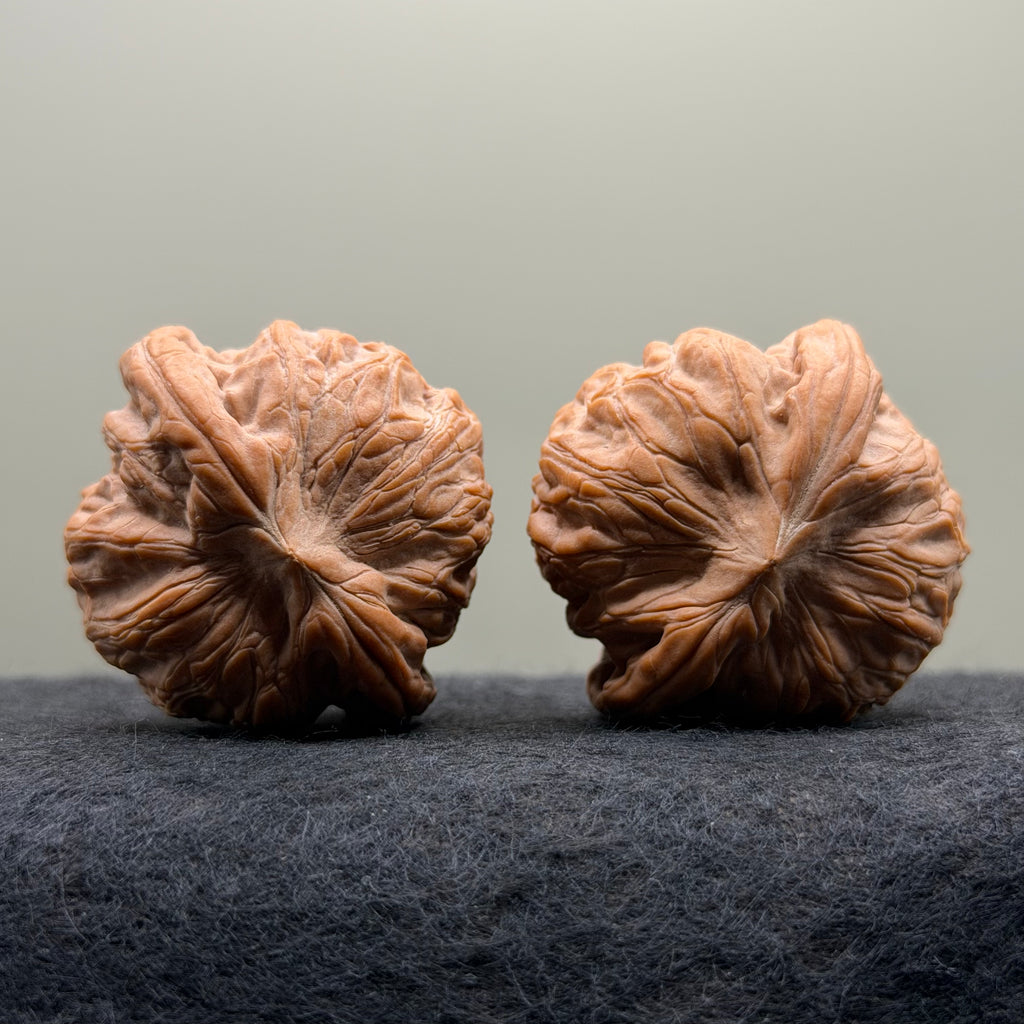 War Drum Lion Head Wenwan Walnut
