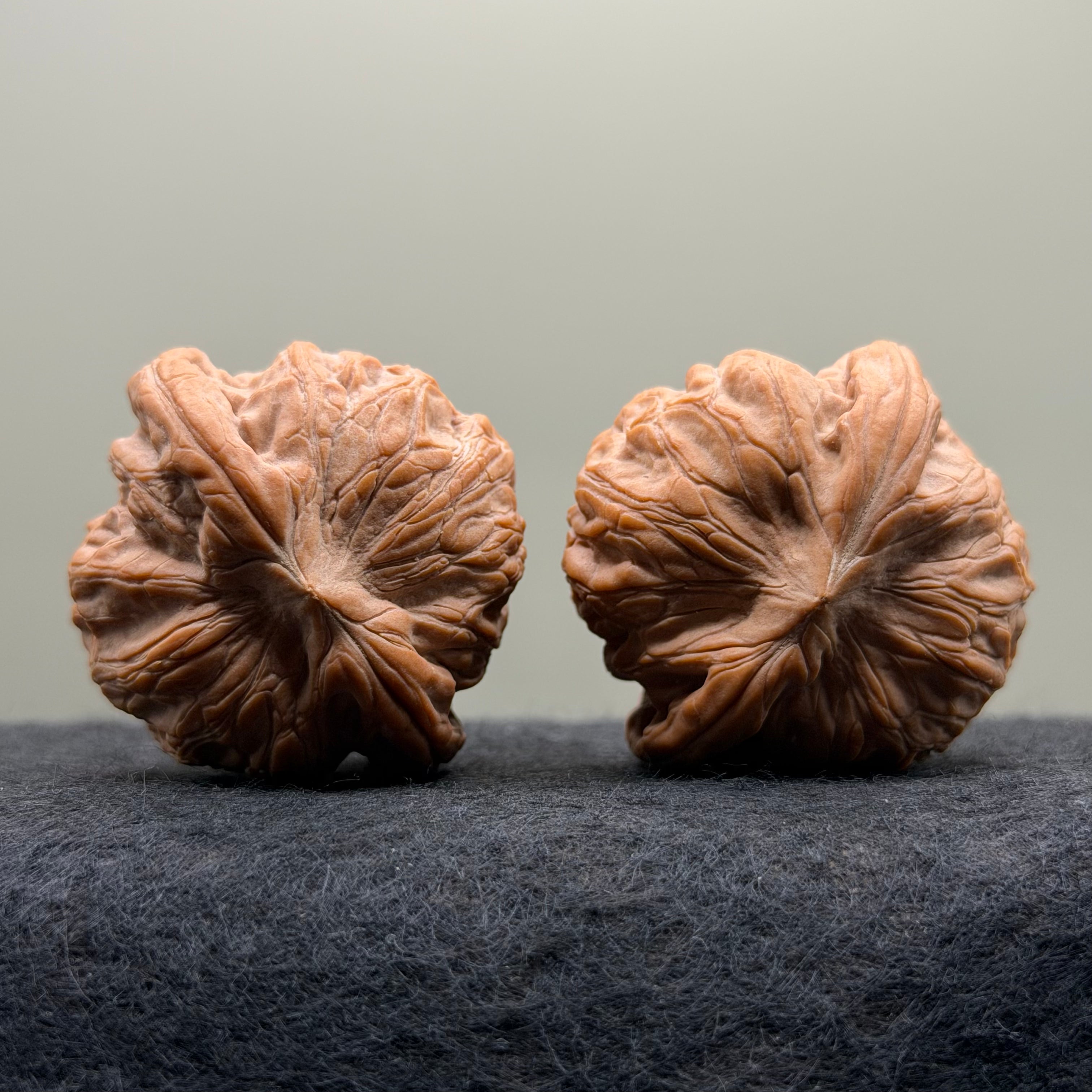 War Drum Lion Head Wenwan Walnut