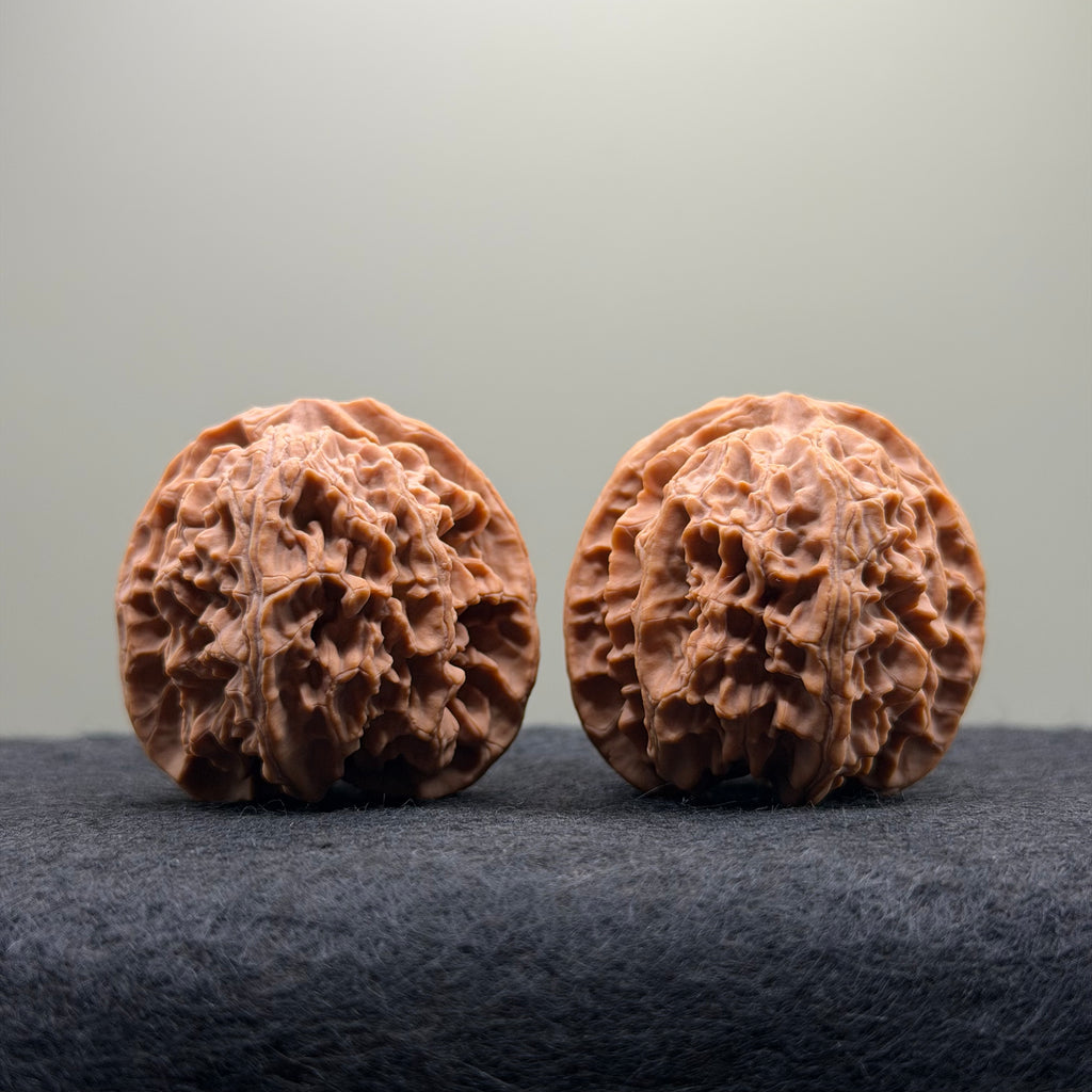 Apple Orchard Wenwan Walnut · 39mm · Natural · Select Ritual