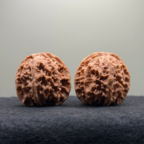 Apple Orchard Wenwan Walnut · 39mm · Natural · Select Ritual