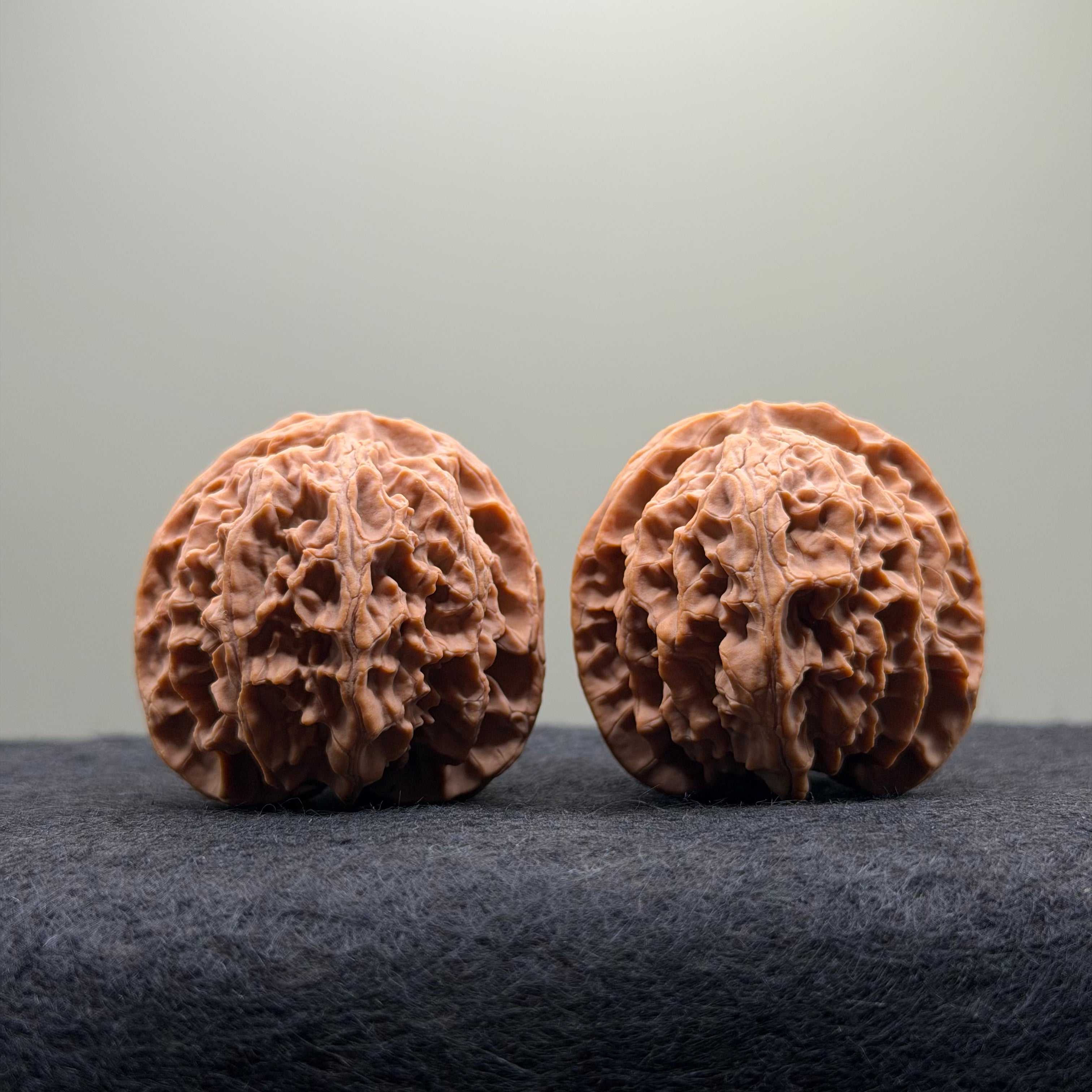 Apple Orchard Wenwan Walnut · 39mm · Natural · Select Ritual