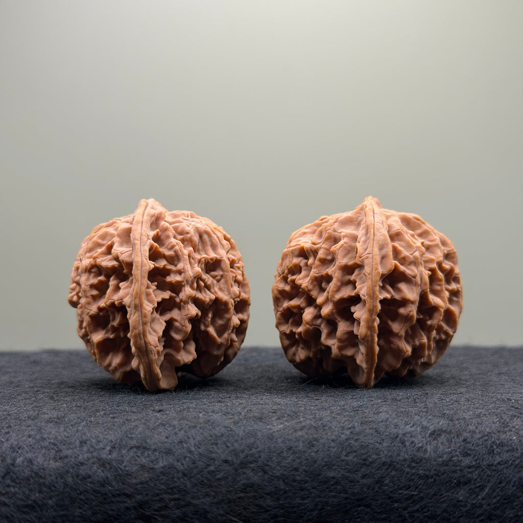 Apple Orchard Wenwan Walnut · 39mm · Natural · Select Ritual