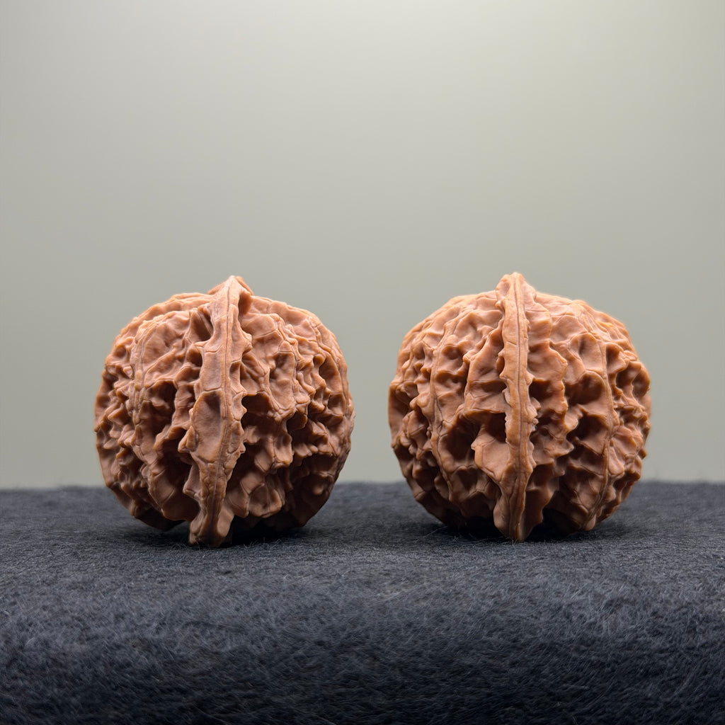 Apple Orchard Wenwan Walnut · 39mm · Natural · Select Ritual