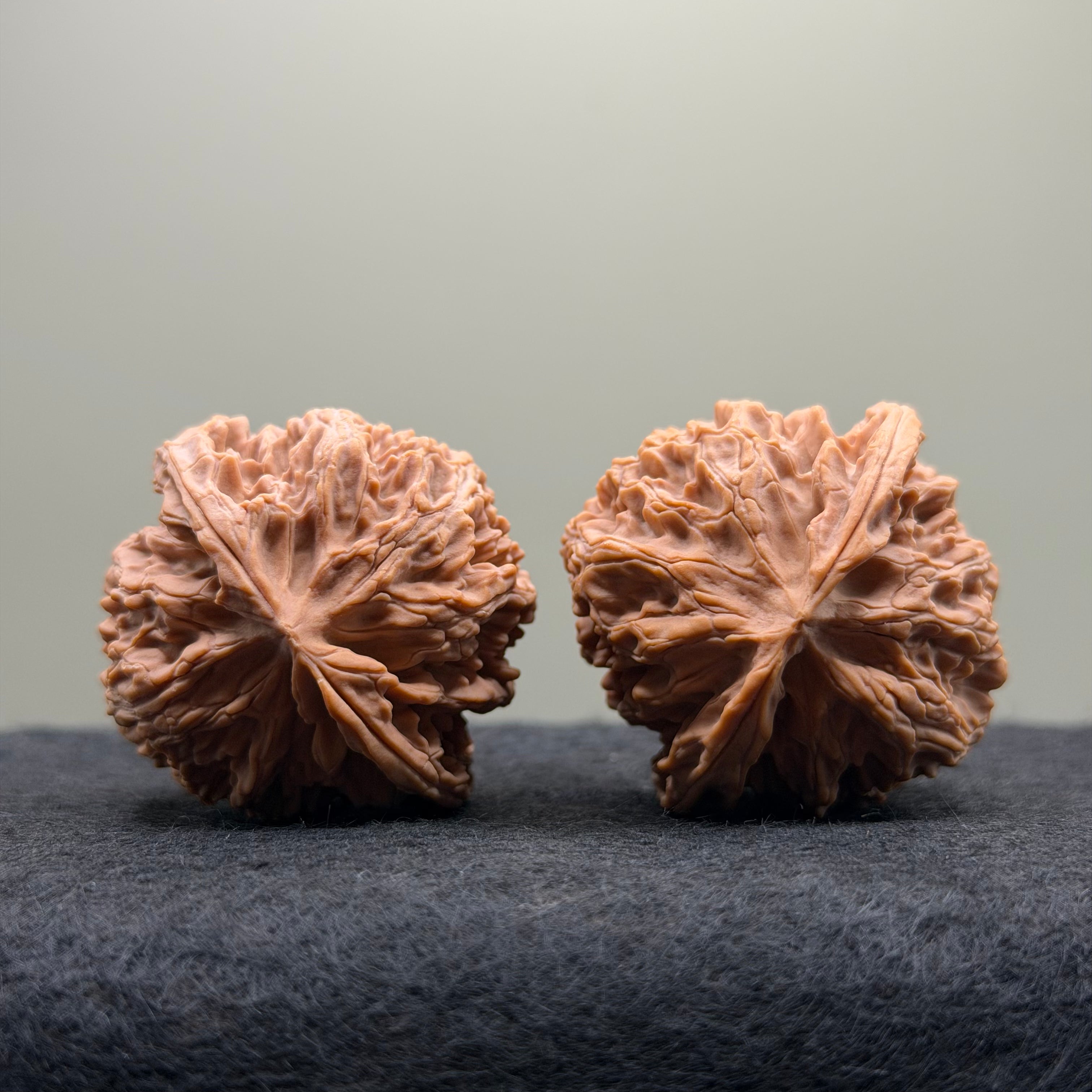 Apple Orchard Wenwan Walnut · 39mm · Natural · Select Ritual
