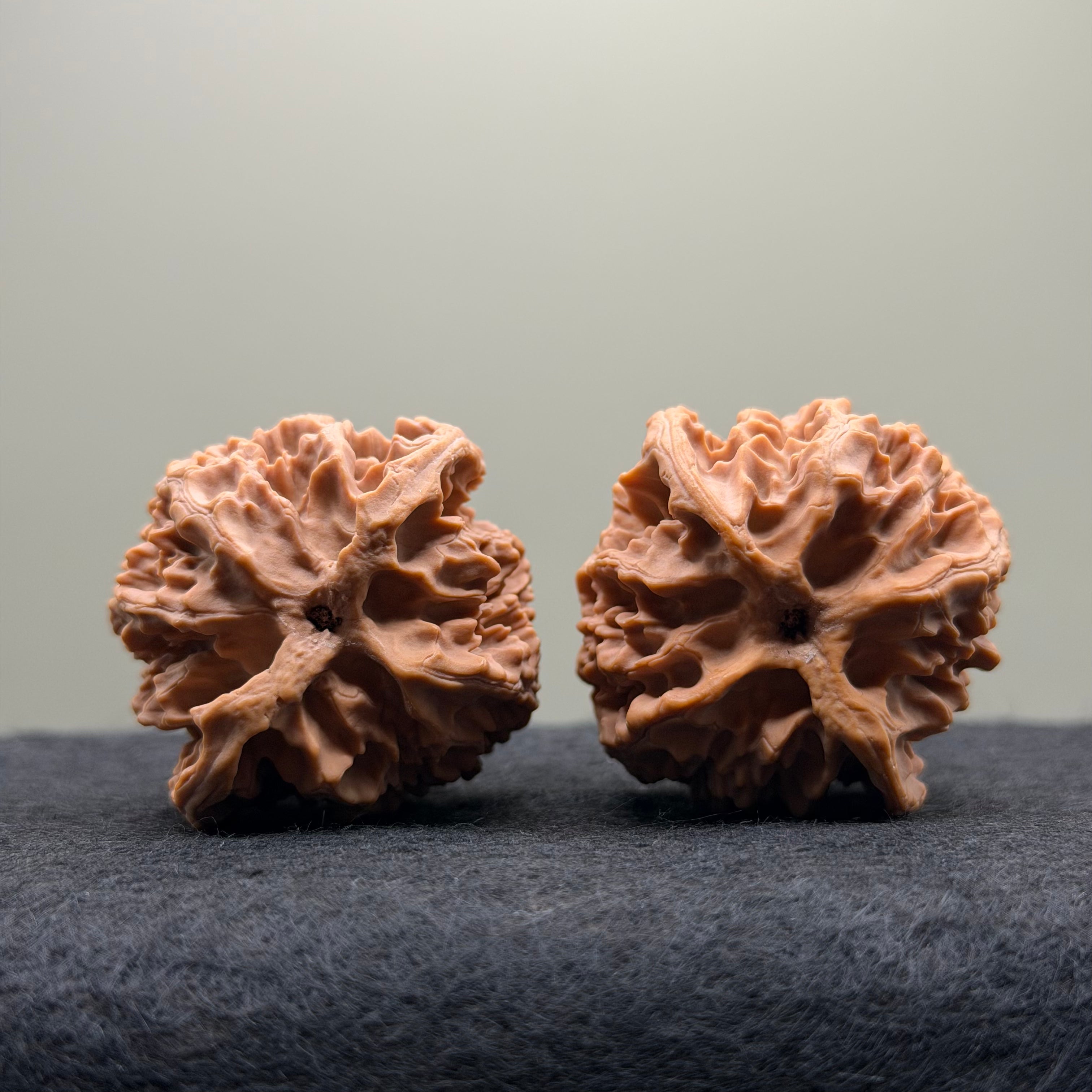 Apple Orchard Wenwan Walnut · 39mm · Natural · Select Ritual