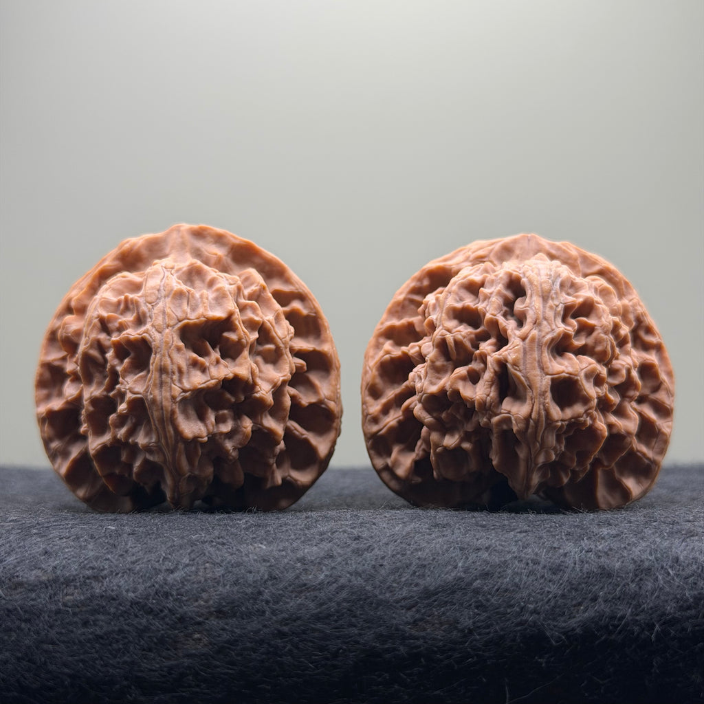 Apple Orchard Wenwan Walnut · 43mm · Natural · Select Ritual