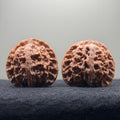 Apple Orchard Wenwan Walnut · 43mm · Natural · Select Ritual