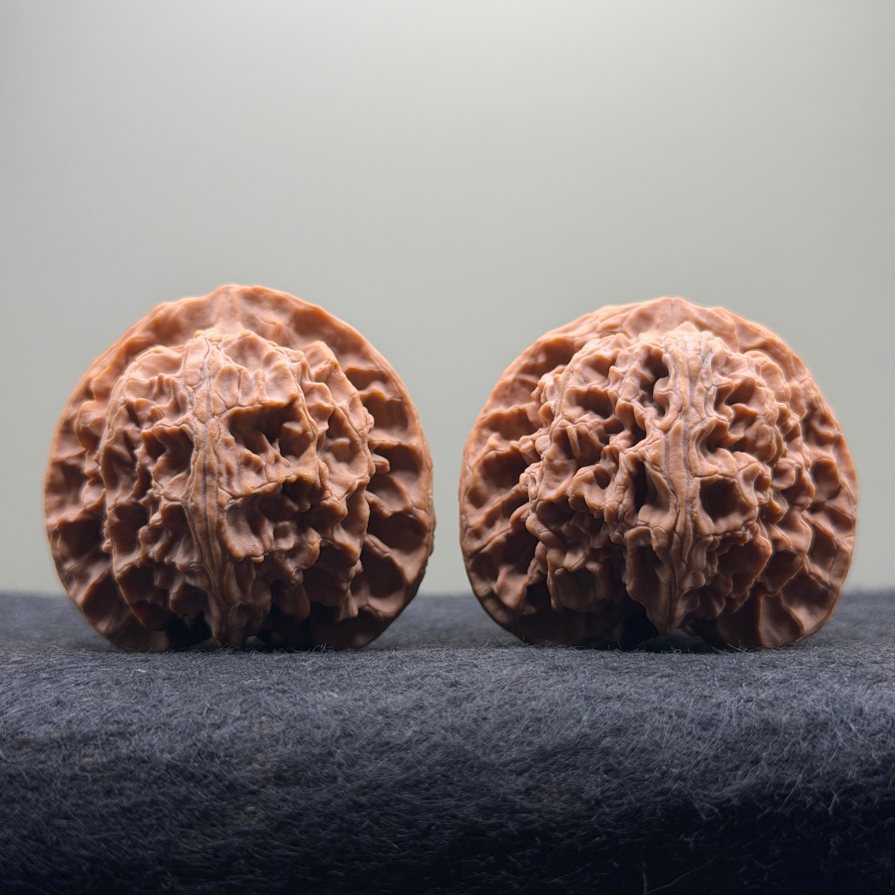 Apple Orchard Wenwan Walnut · 43mm · Natural · Select Ritual