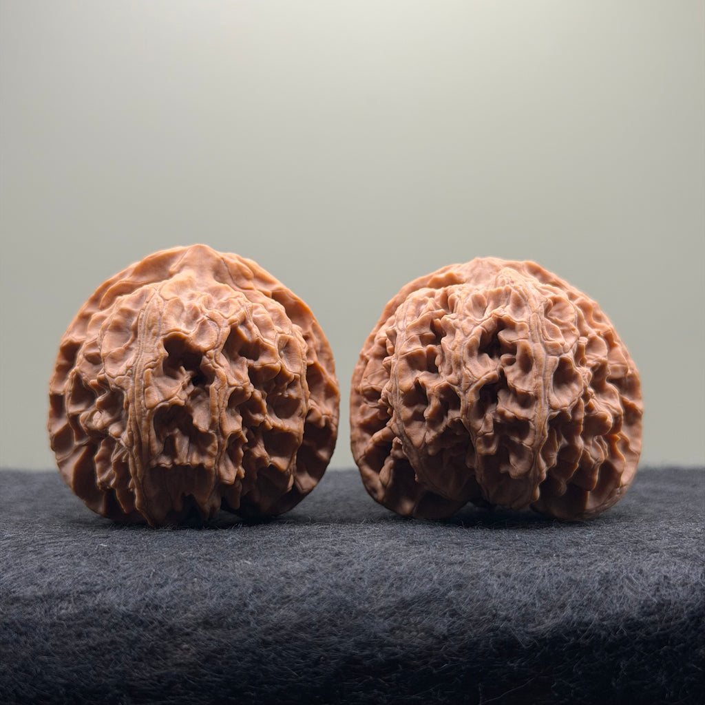 Apple Orchard Wenwan Walnut · 43mm · Natural · Select Ritual