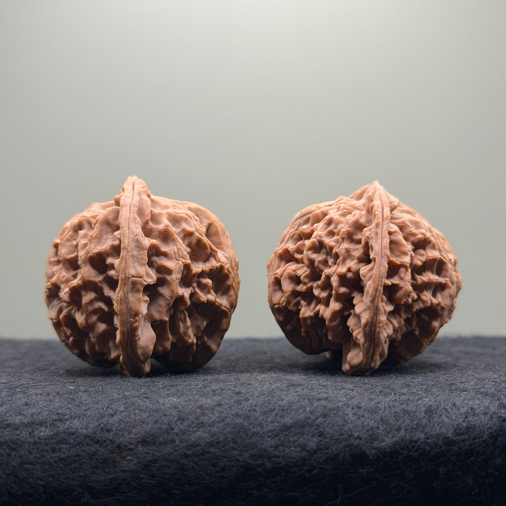 Apple Orchard Wenwan Walnut · 43mm · Natural · Select Ritual