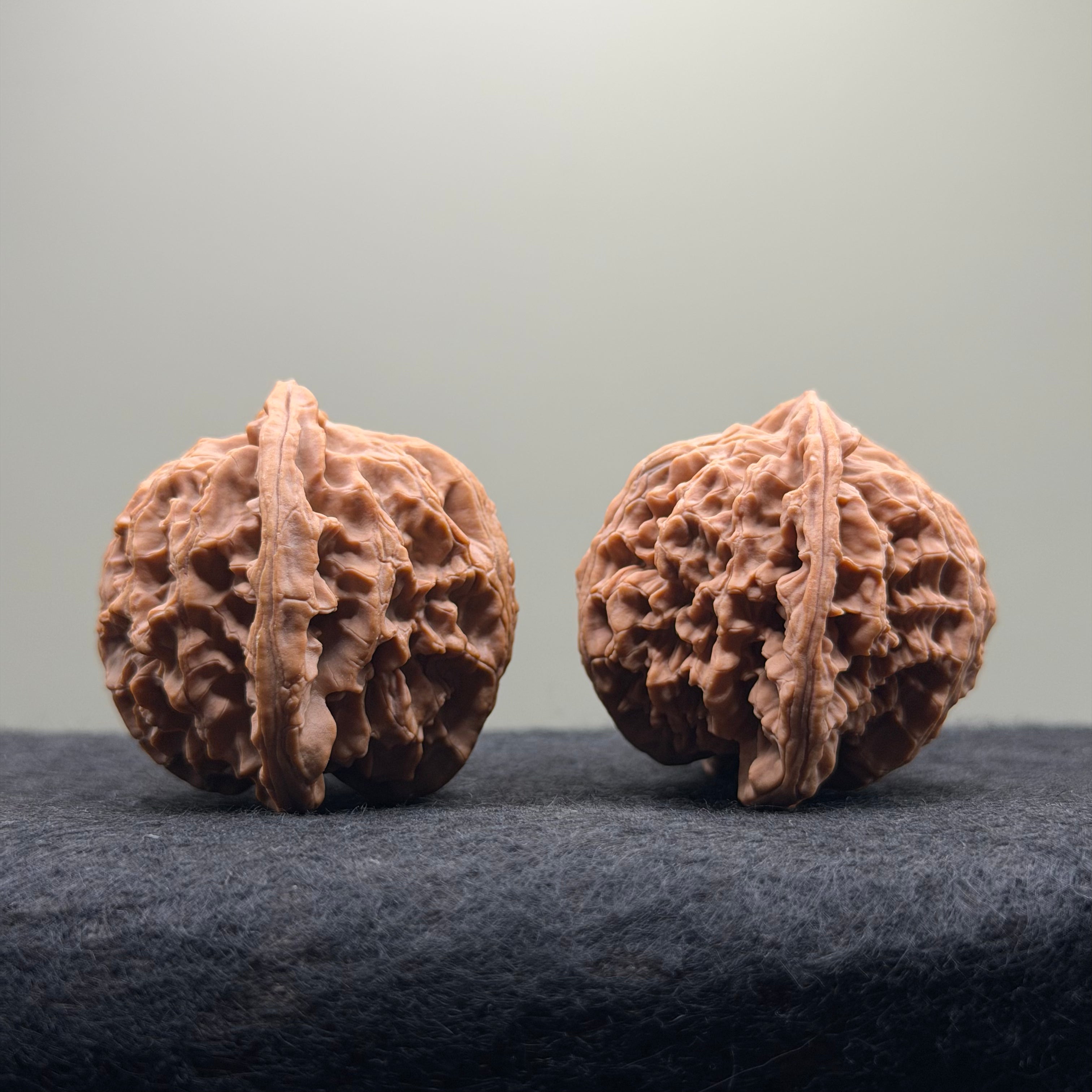 Apple Orchard Wenwan Walnut · 43mm · Natural · Select Ritual