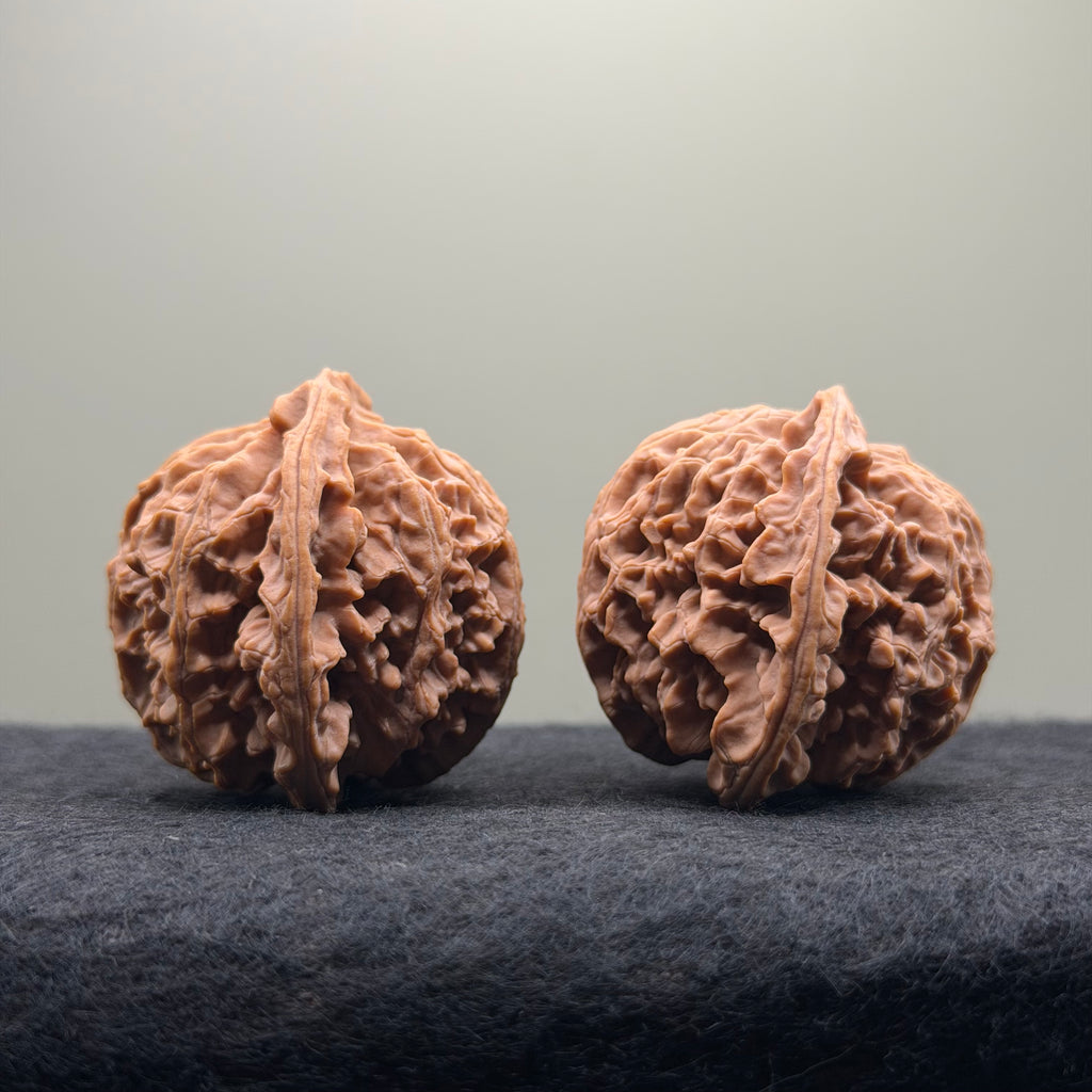 Apple Orchard Wenwan Walnut · 43mm · Natural · Select Ritual