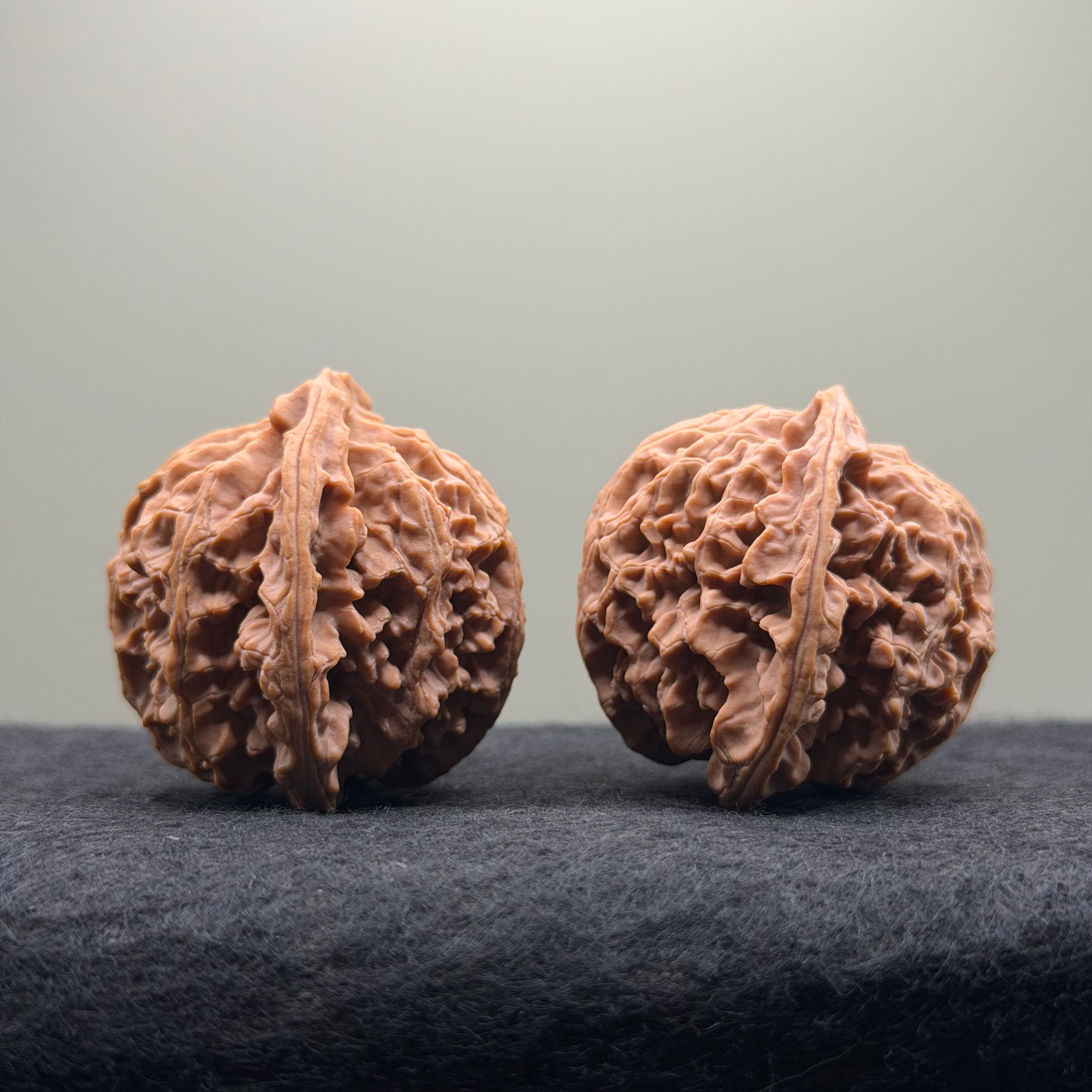 Apple Orchard Wenwan Walnut · 43mm · Natural · Select Ritual