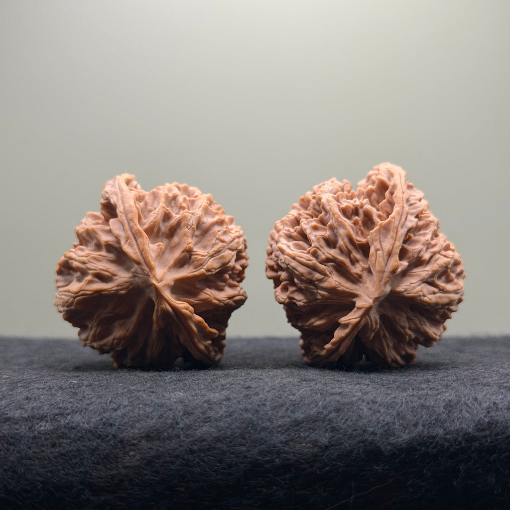 Apple Orchard Wenwan Walnut · 43mm · Natural · Select Ritual