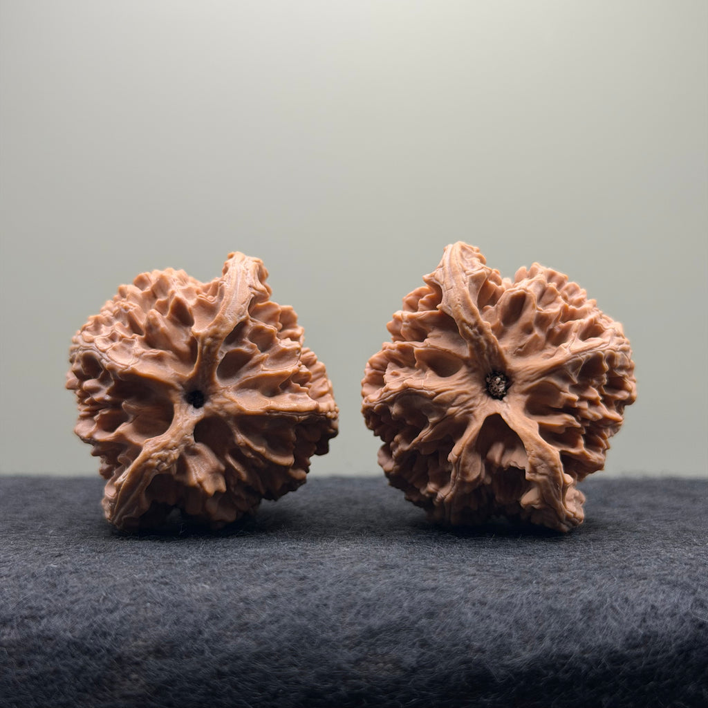 Apple Orchard Wenwan Walnut · 43mm · Natural · Select Ritual