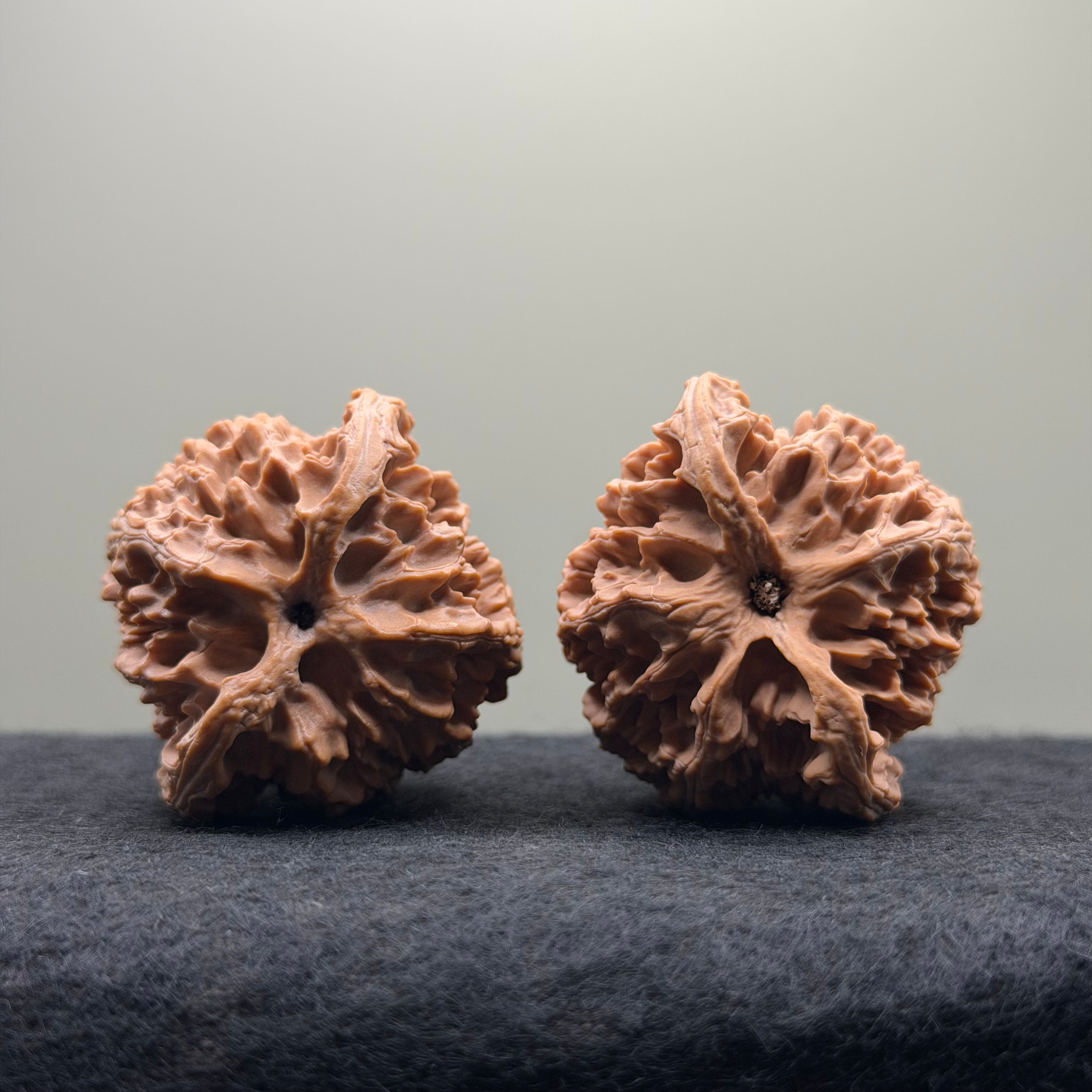 Apple Orchard Wenwan Walnut · 43mm · Natural · Select Ritual