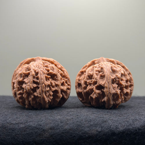 Apple Orchard Wenwan Walnut · 42mm · Natural · Select Ritual