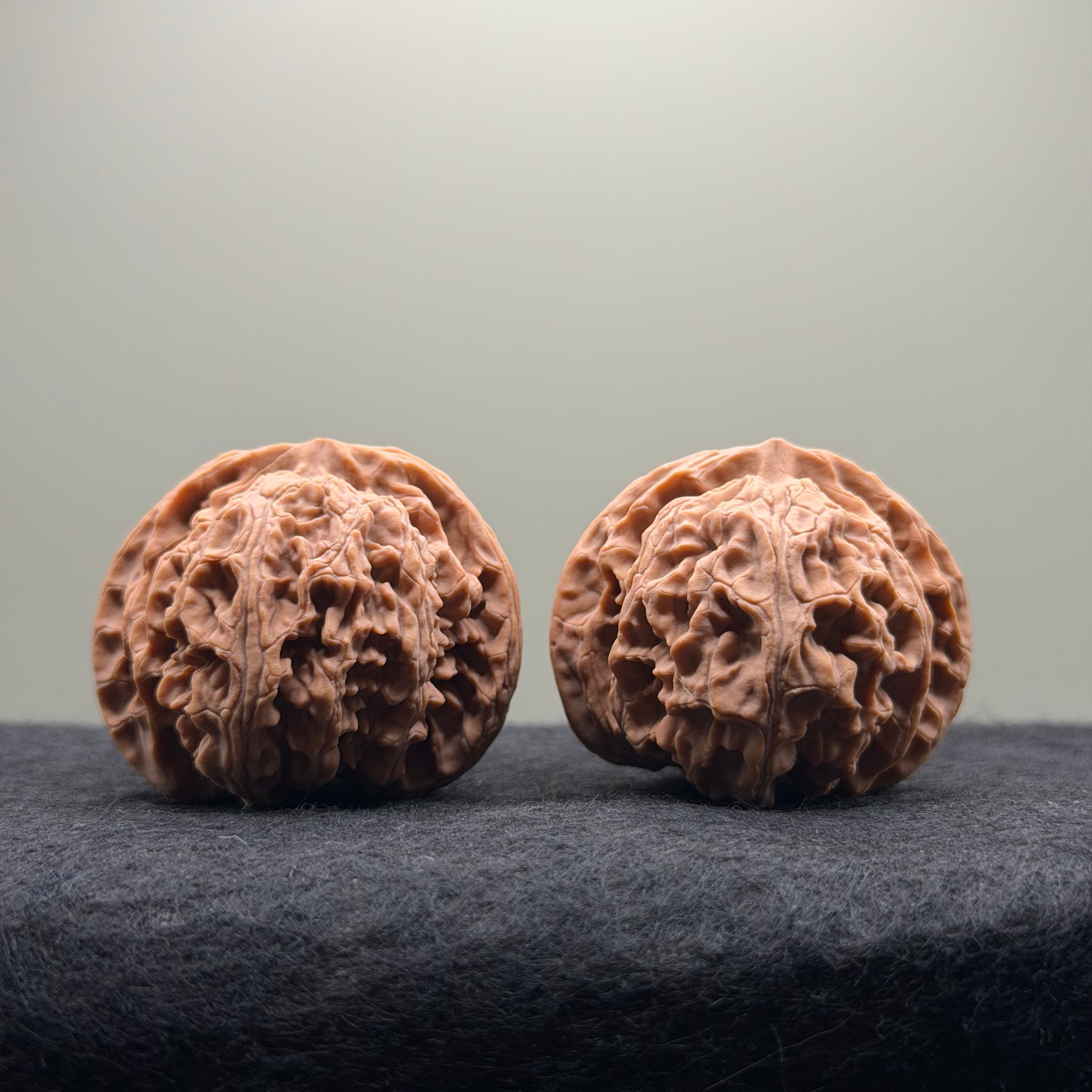 Apple Orchard Wenwan Walnut · 42mm · Natural · Select Ritual