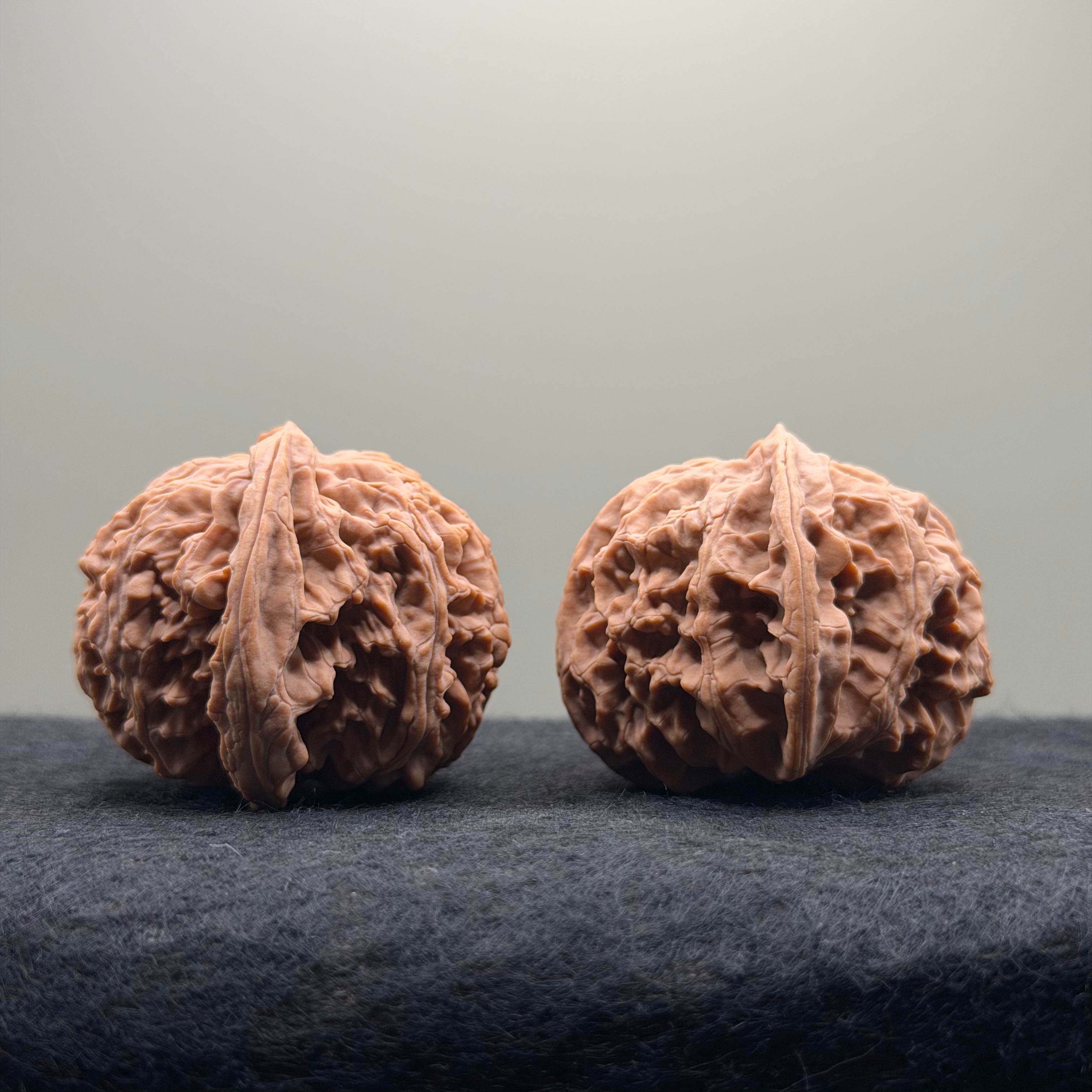 Apple Orchard Wenwan Walnut · 42mm · Natural · Select Ritual