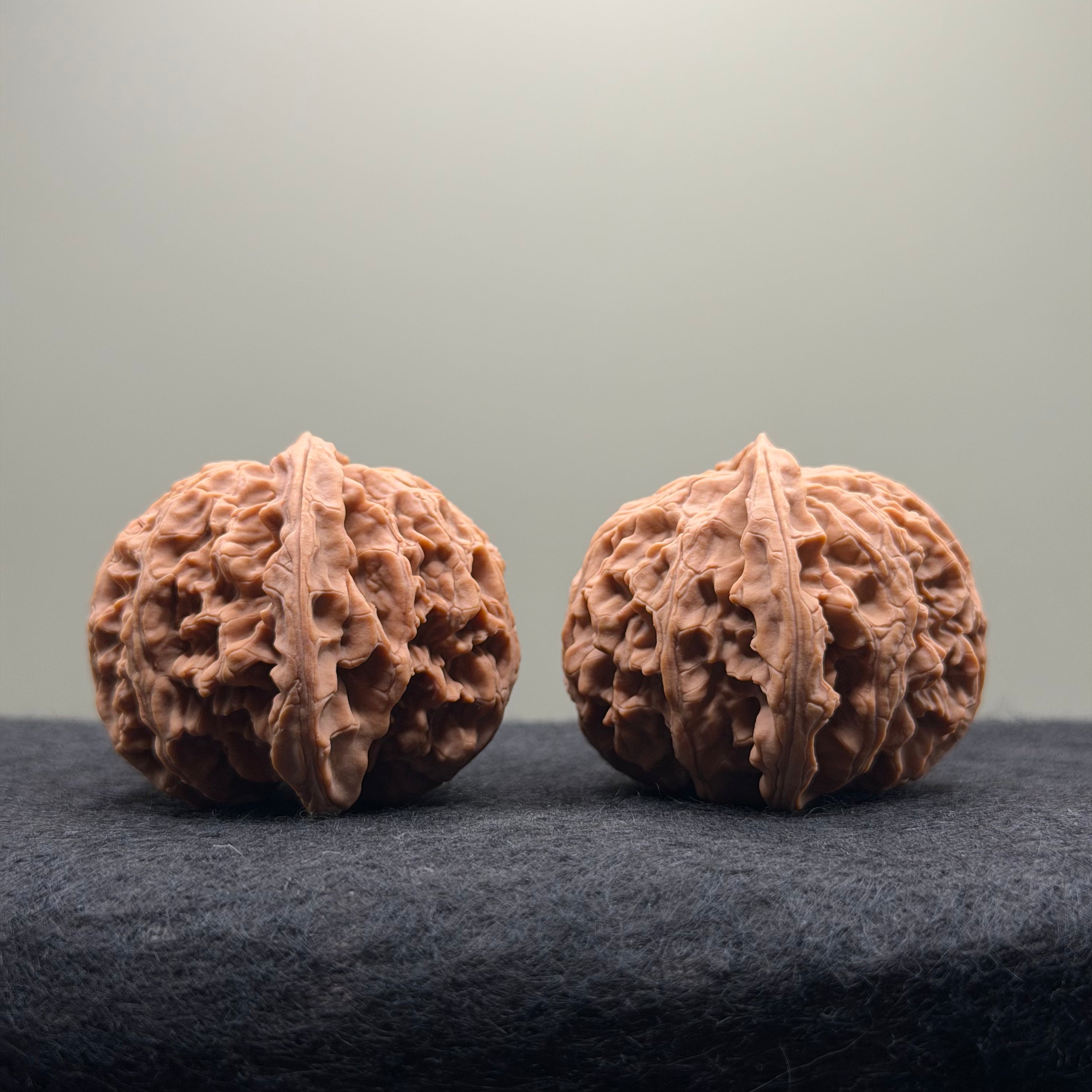 Apple Orchard Wenwan Walnut · 42mm · Natural · Select Ritual