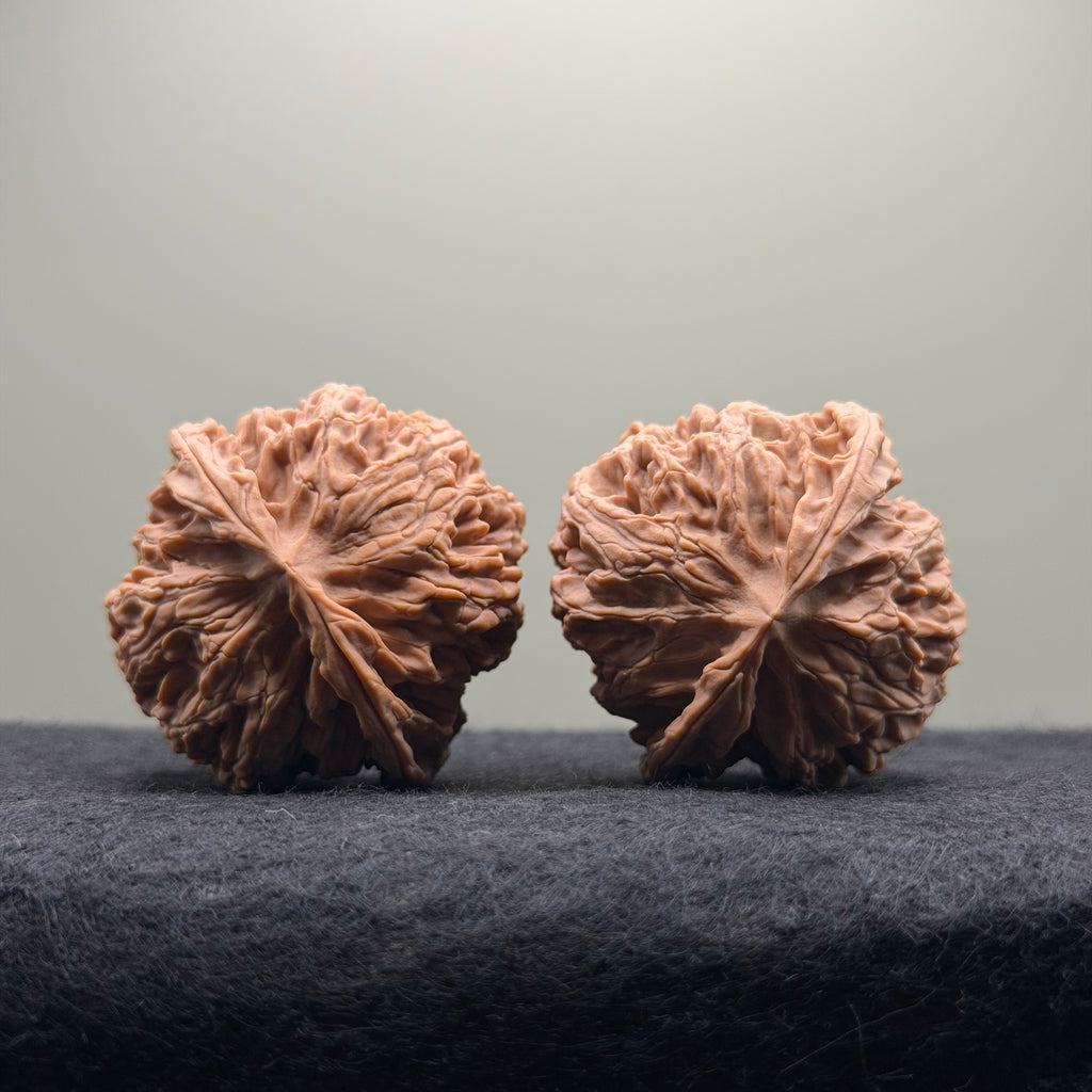 Apple Orchard Wenwan Walnut · 42mm · Natural · Select Ritual