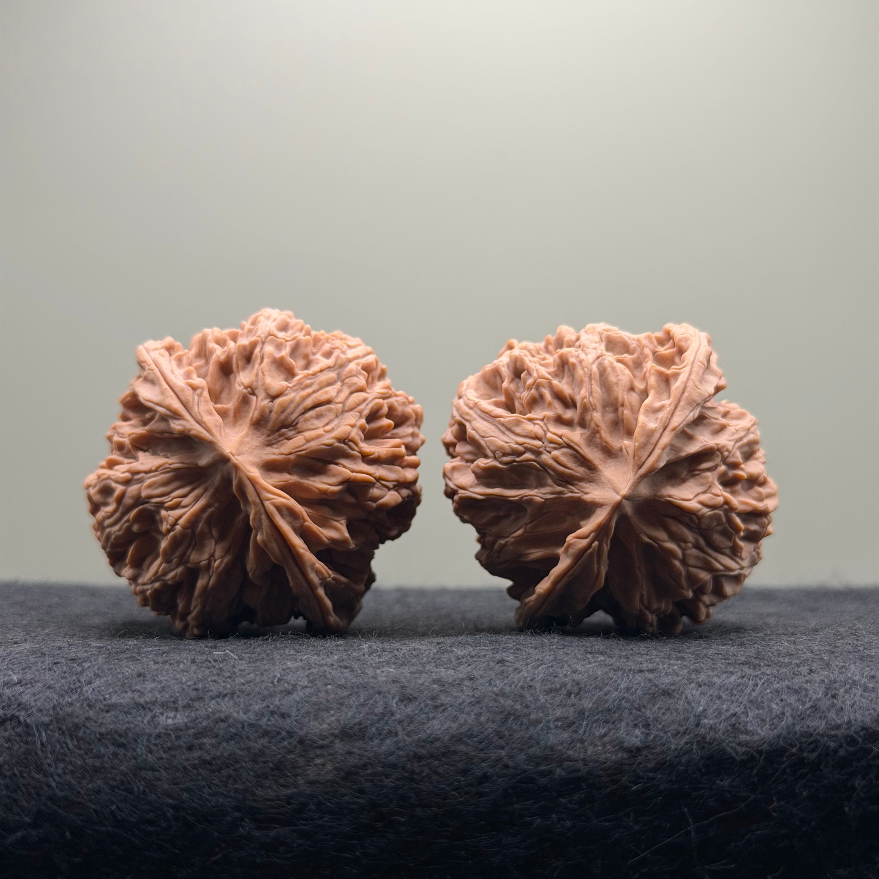 Apple Orchard Wenwan Walnut · 42mm · Natural · Select Ritual