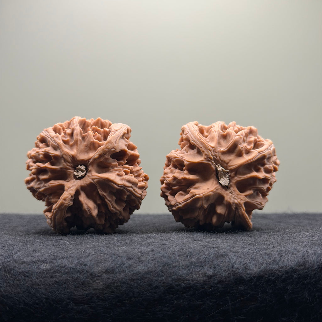 Apple Orchard Wenwan Walnut · 42mm · Natural · Select Ritual