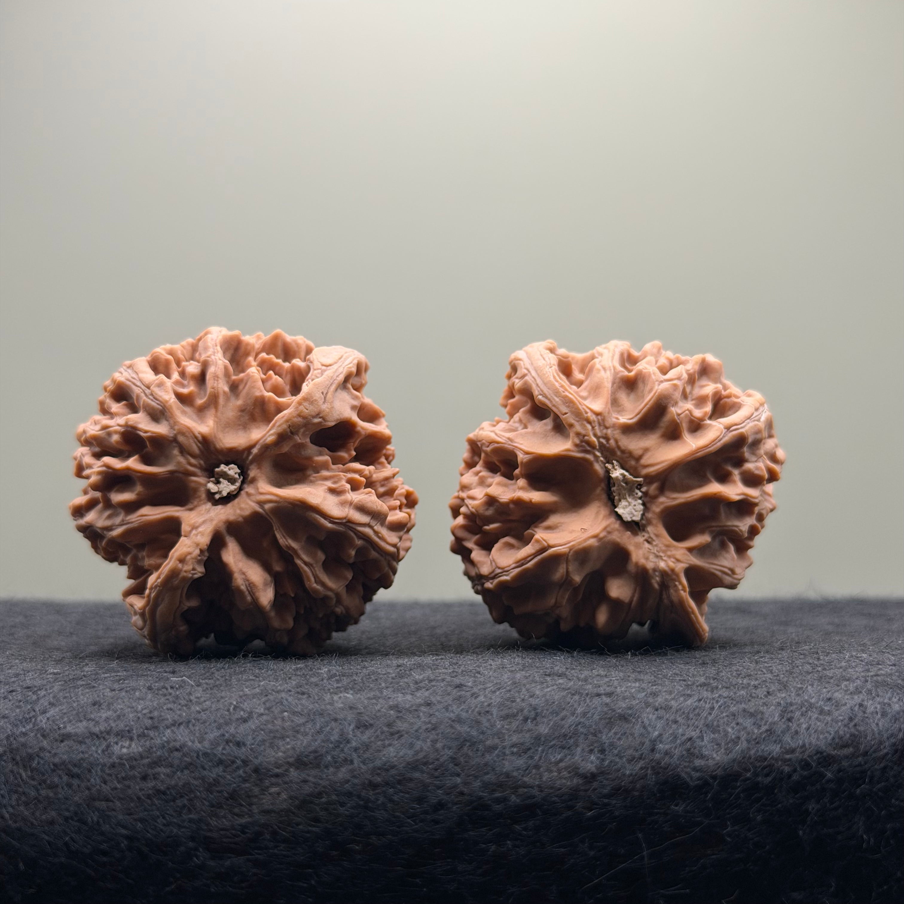 Apple Orchard Wenwan Walnut · 42mm · Natural · Select Ritual