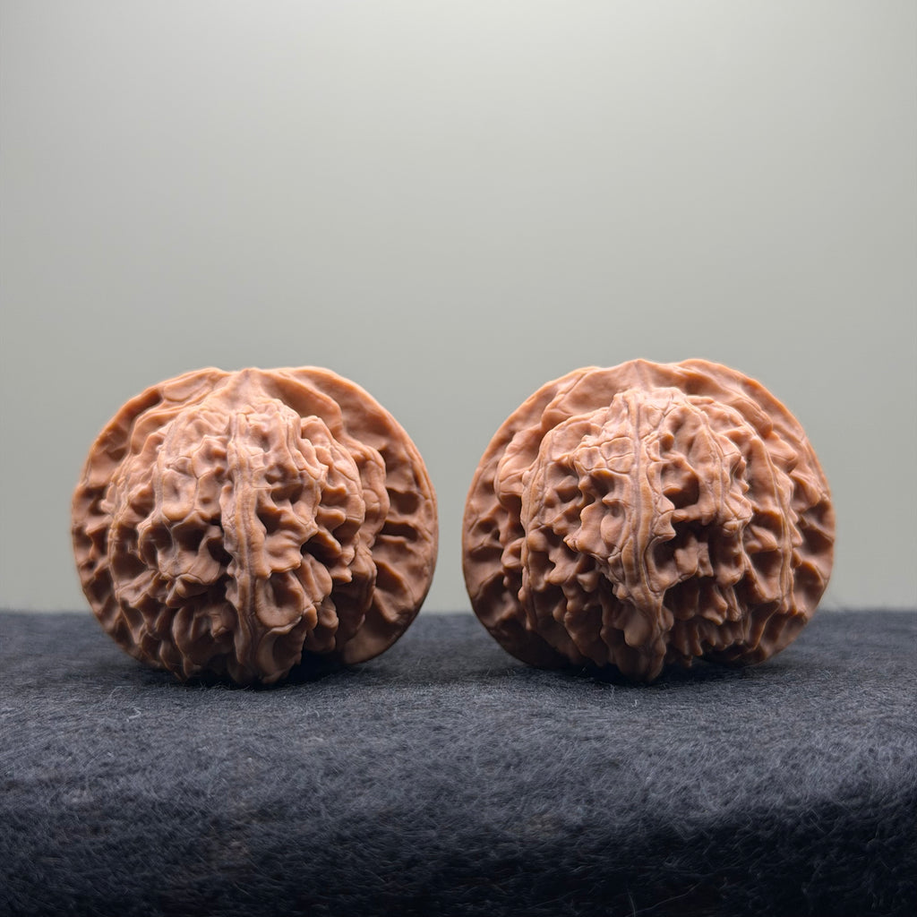 Apple Orchard Wenwan Walnut · 42mm · Natural · Select Ritual