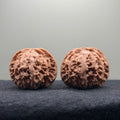 Apple Orchard Wenwan Walnut · 42mm · Natural · Select Ritual