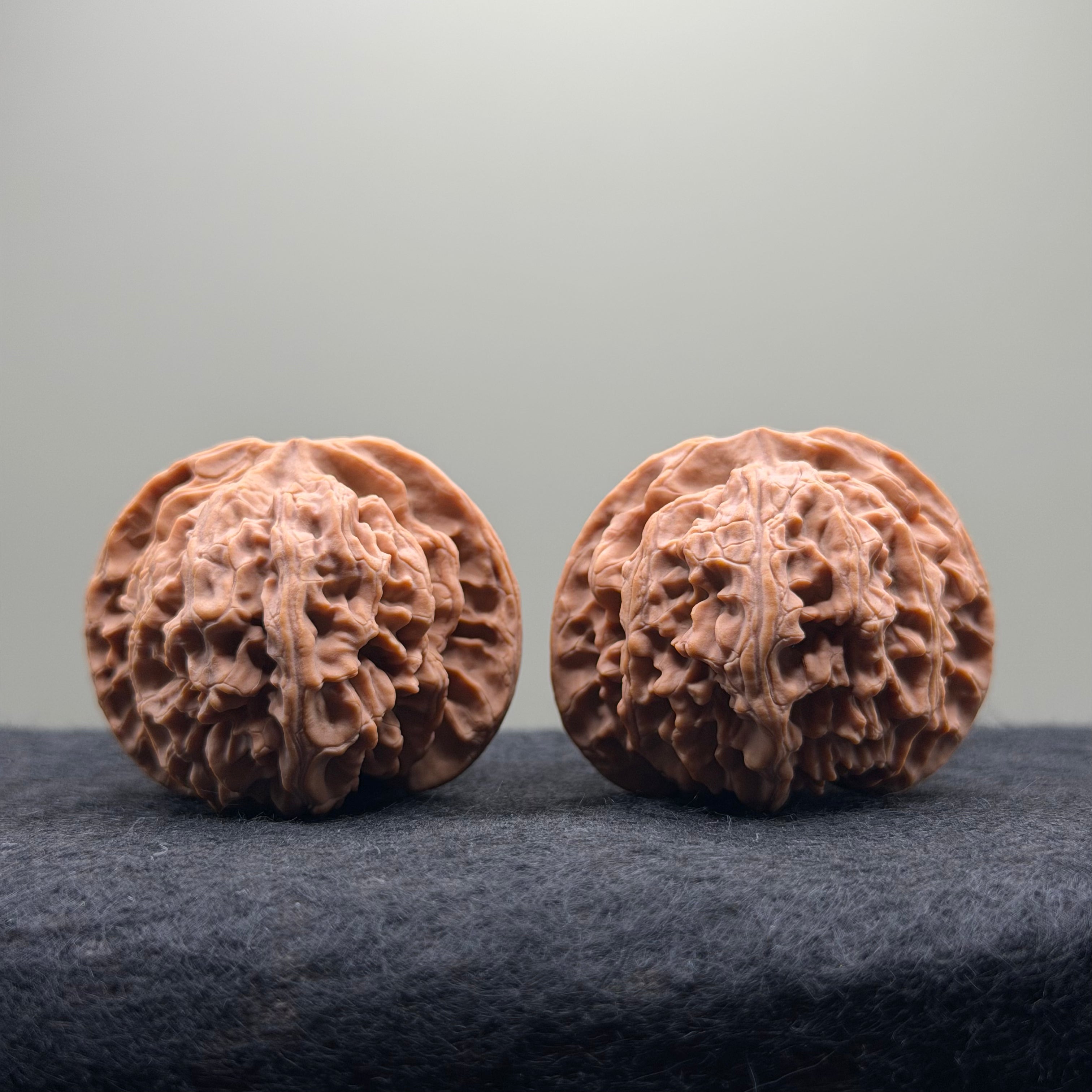Apple Orchard Wenwan Walnut · 42mm · Natural · Select Ritual