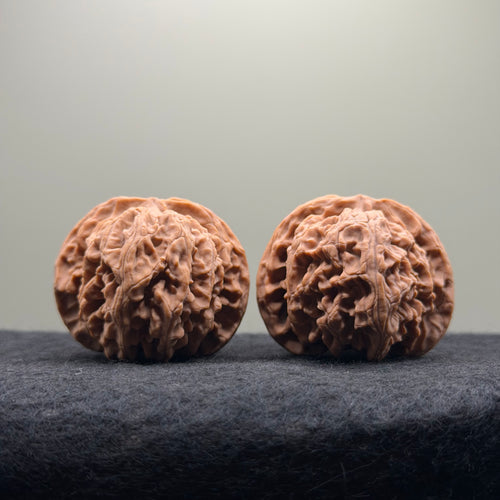 Apple Orchard Wenwan Walnut · 42mm · Natural · Select Ritual