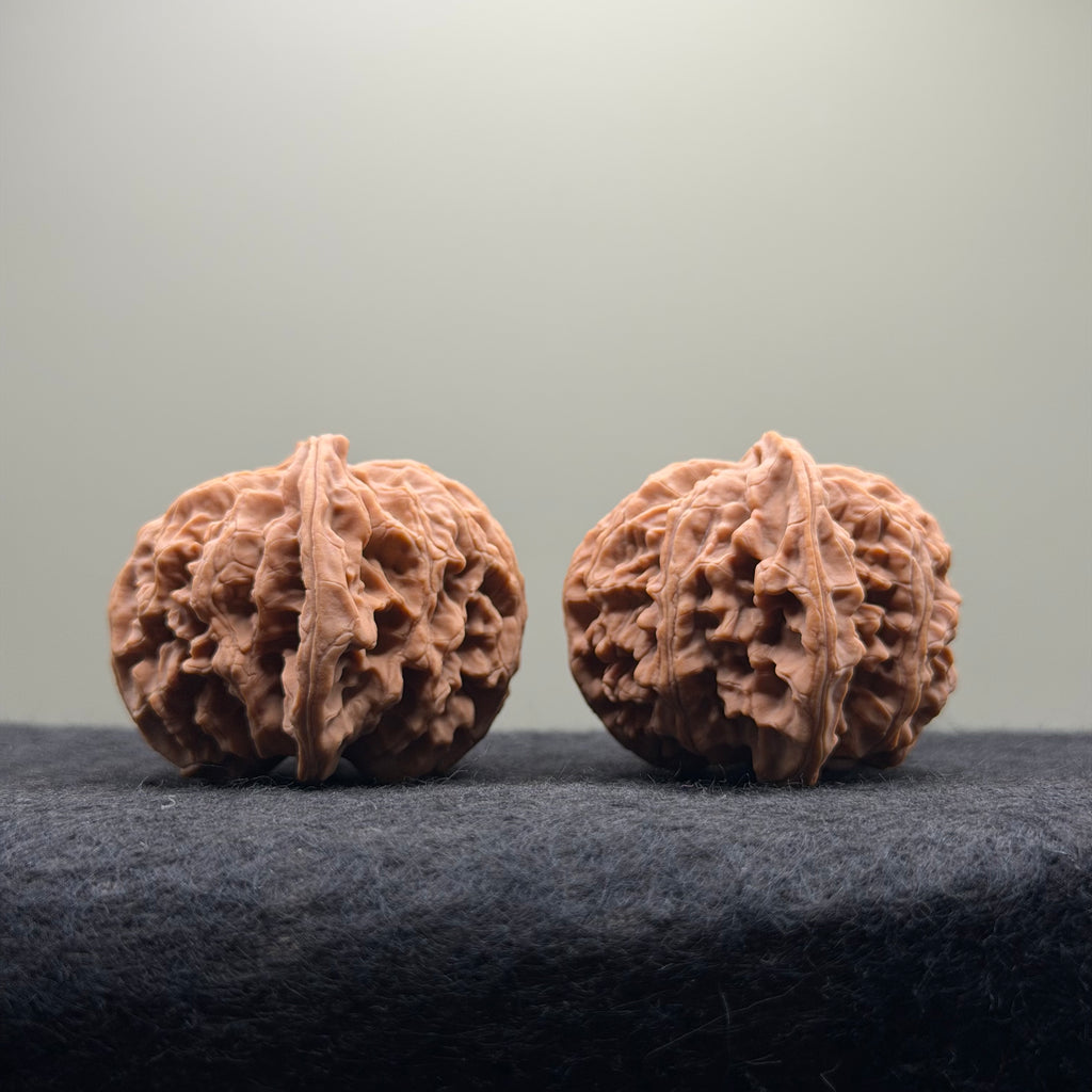 Apple Orchard Wenwan Walnut · 42mm · Natural · Select Ritual