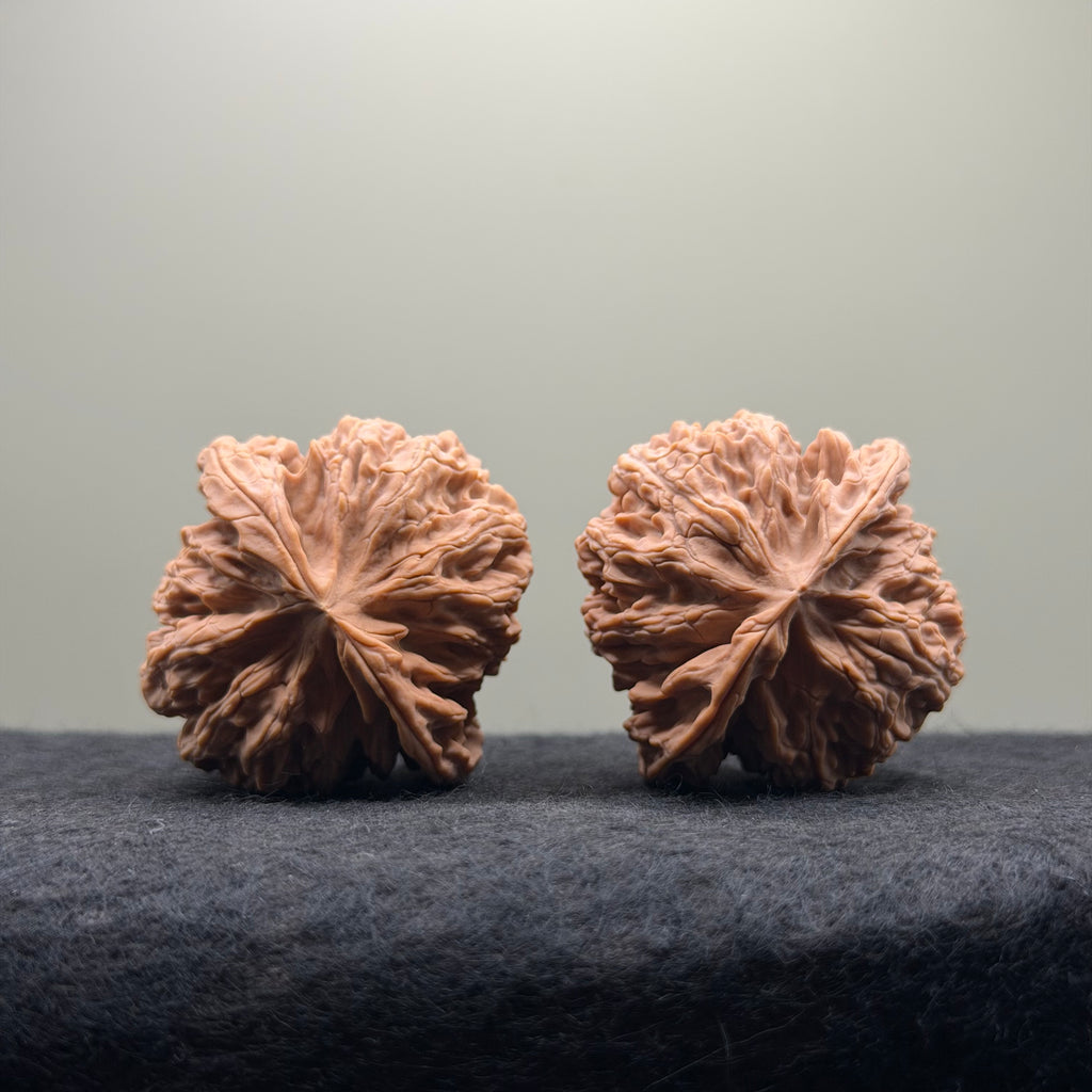 Apple Orchard Wenwan Walnut · 42mm · Natural · Select Ritual