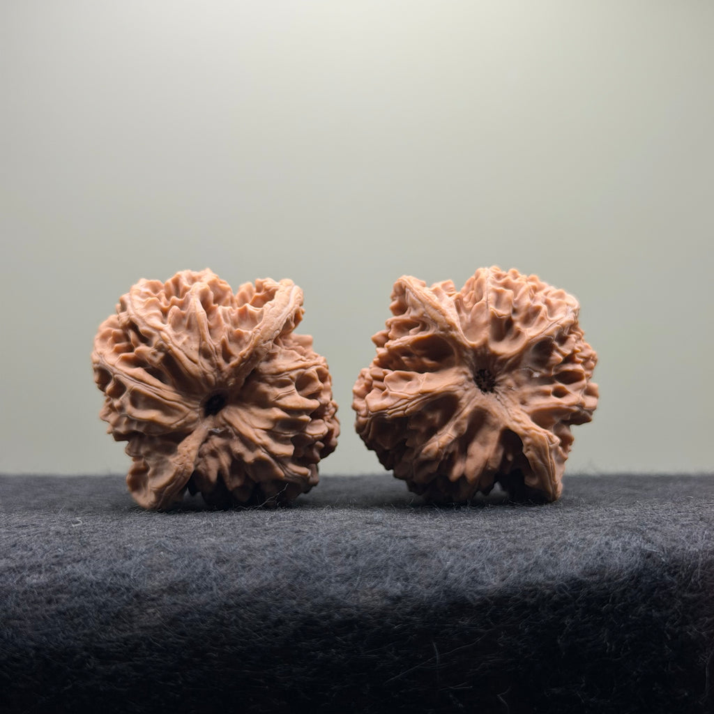 Apple Orchard Wenwan Walnut · 42mm · Natural · Select Ritual