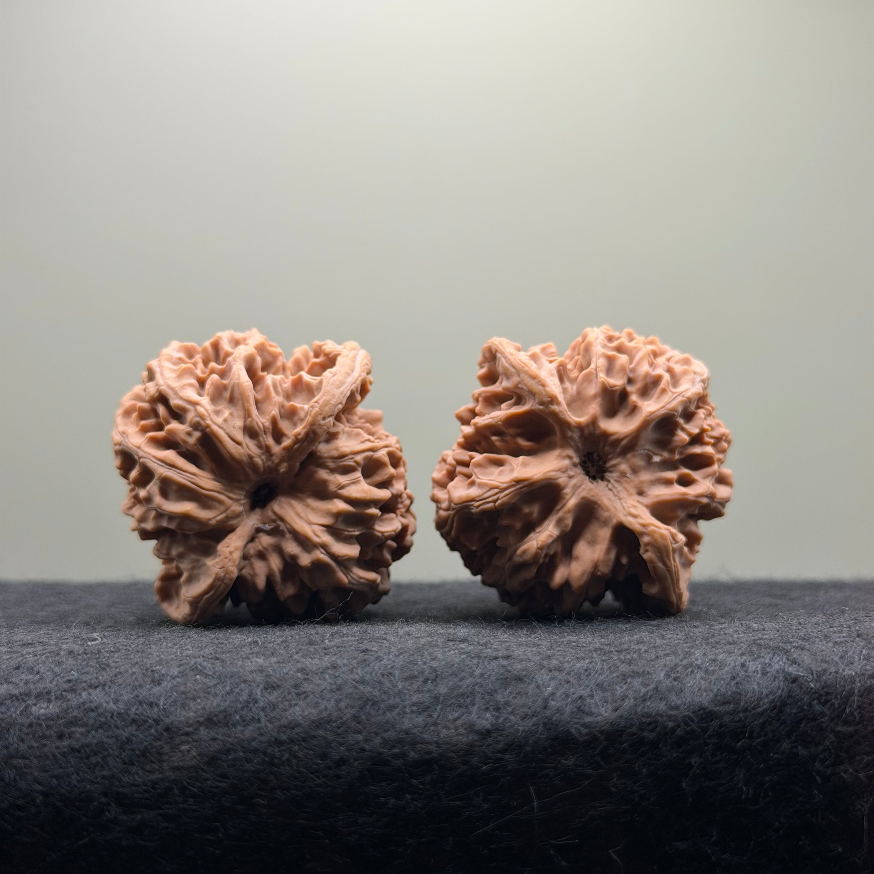 Apple Orchard Wenwan Walnut · 42mm · Natural · Select Ritual