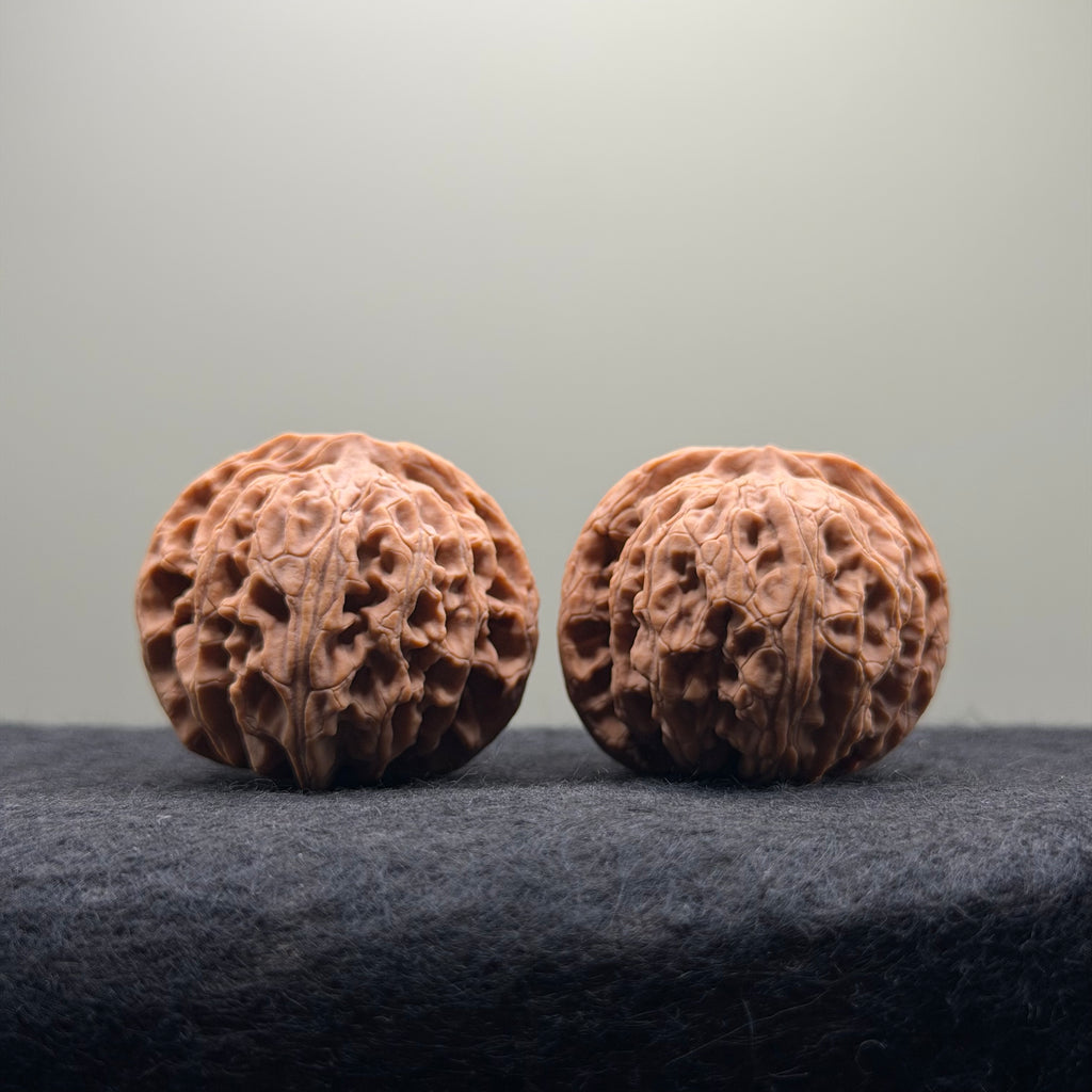 Apple Orchard Wenwan Walnut · 38mm · Natural · Select Ritual