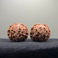 Apple Orchard Wenwan Walnut · 38mm · Natural · Select Ritual