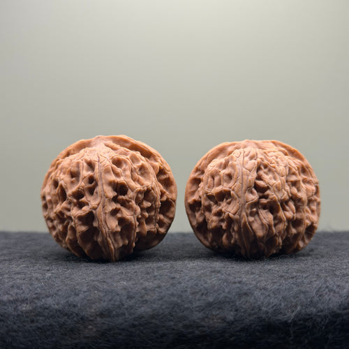 Apple Orchard Wenwan Walnut · 38mm · Natural · Select Ritual
