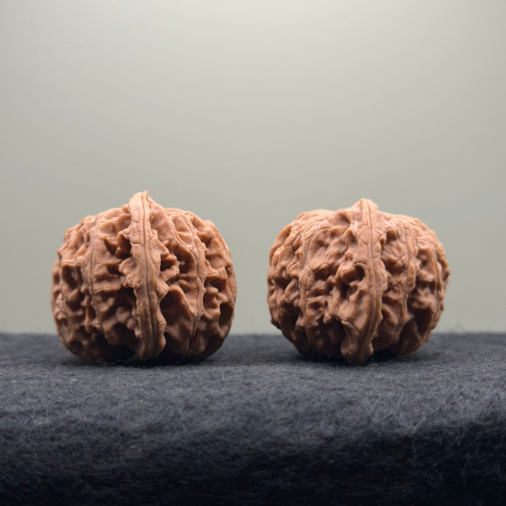 Apple Orchard Wenwan Walnut · 38mm · Natural · Select Ritual