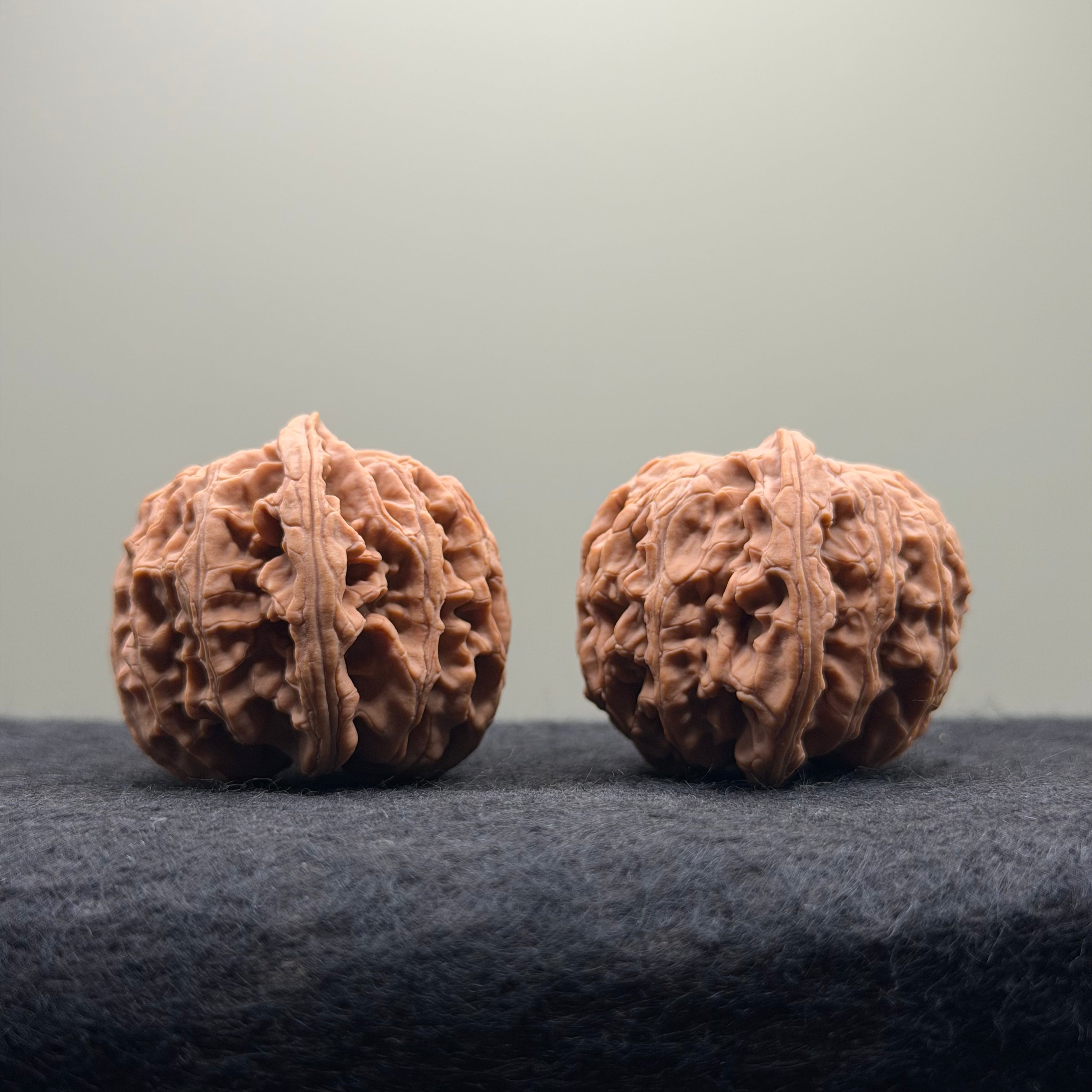 Apple Orchard Wenwan Walnut · 38mm · Natural · Select Ritual