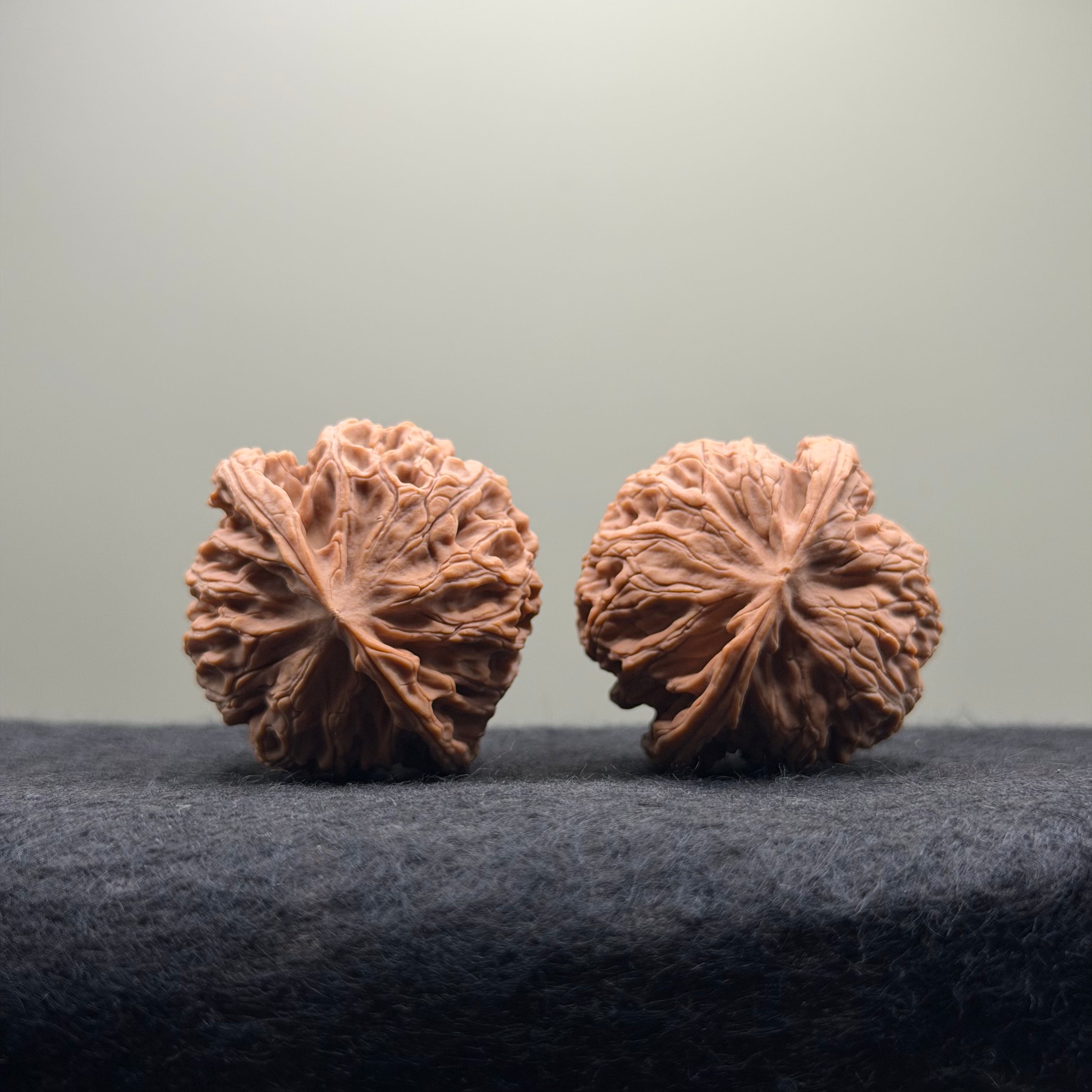 Apple Orchard Wenwan Walnut · 38mm · Natural · Select Ritual