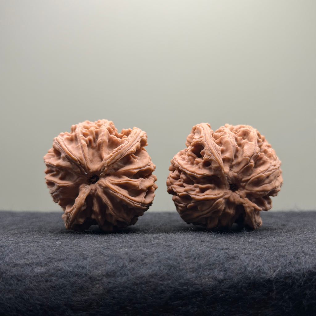 Apple Orchard Wenwan Walnut · 38mm · Natural · Select Ritual