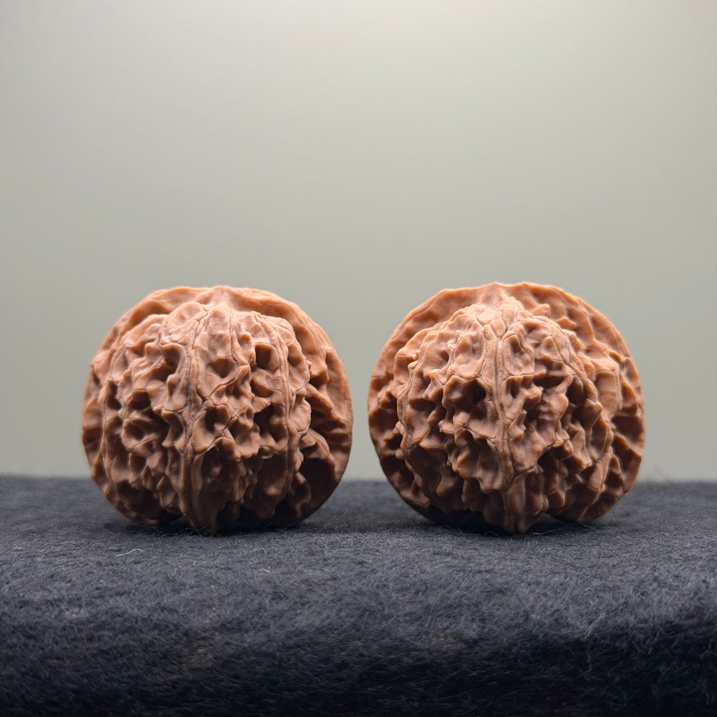 Apple Orchard Wenwan Walnut · 39mm · Natural · Select Ritual