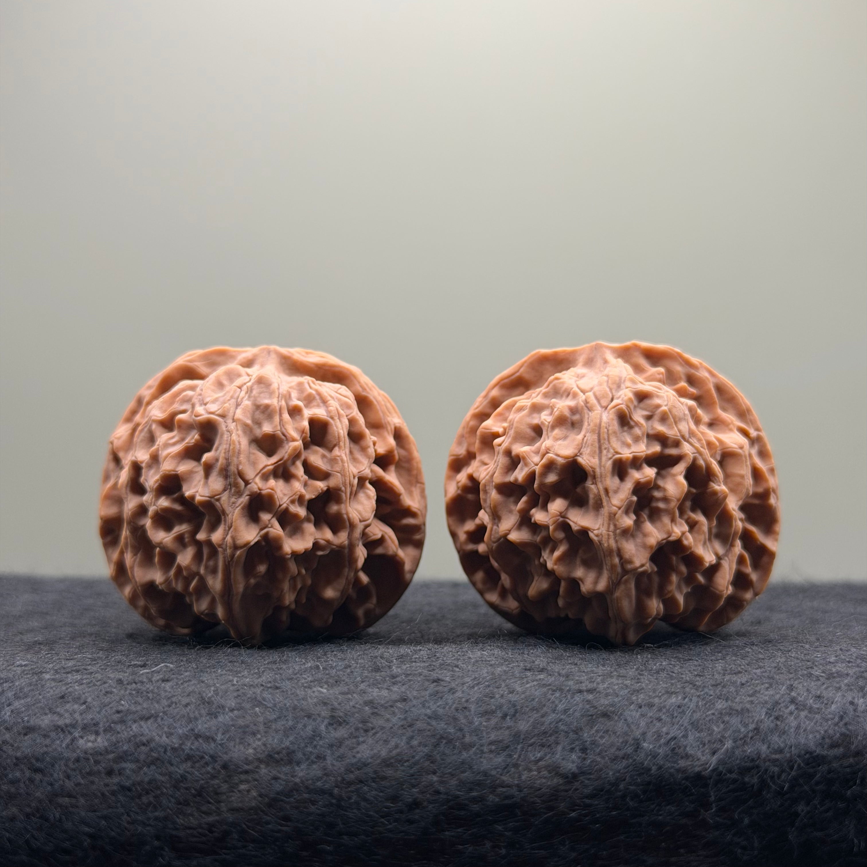 Apple Orchard Wenwan Walnut · 39mm · Natural · Select Ritual